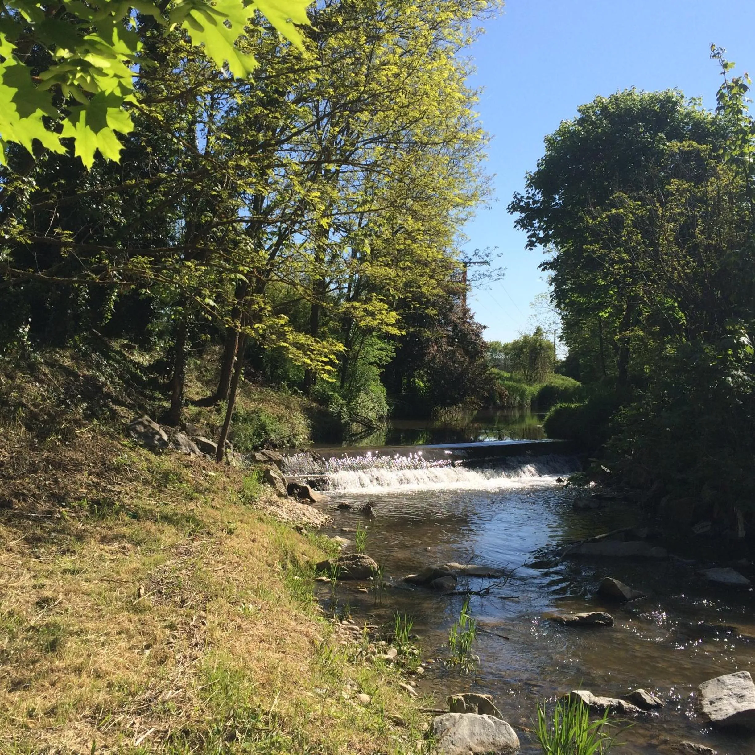 Other in La Gabetière