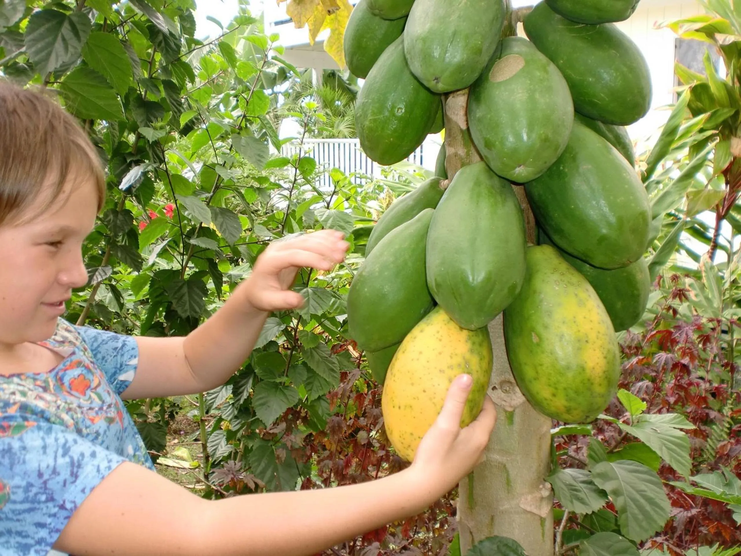 Garden in Bears' Place Guest House