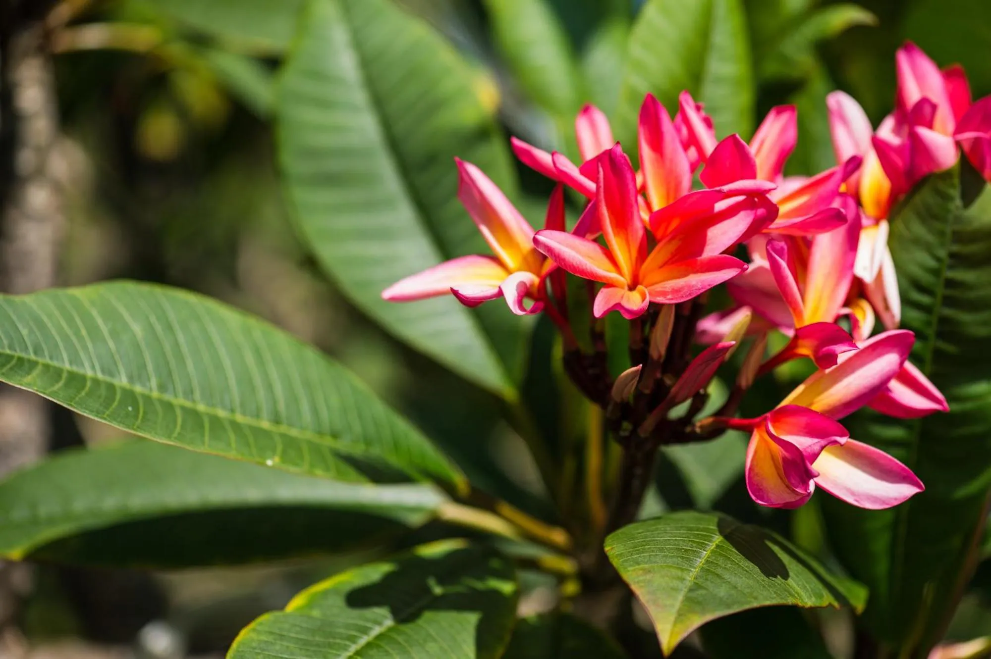 Bears' Place Guest House