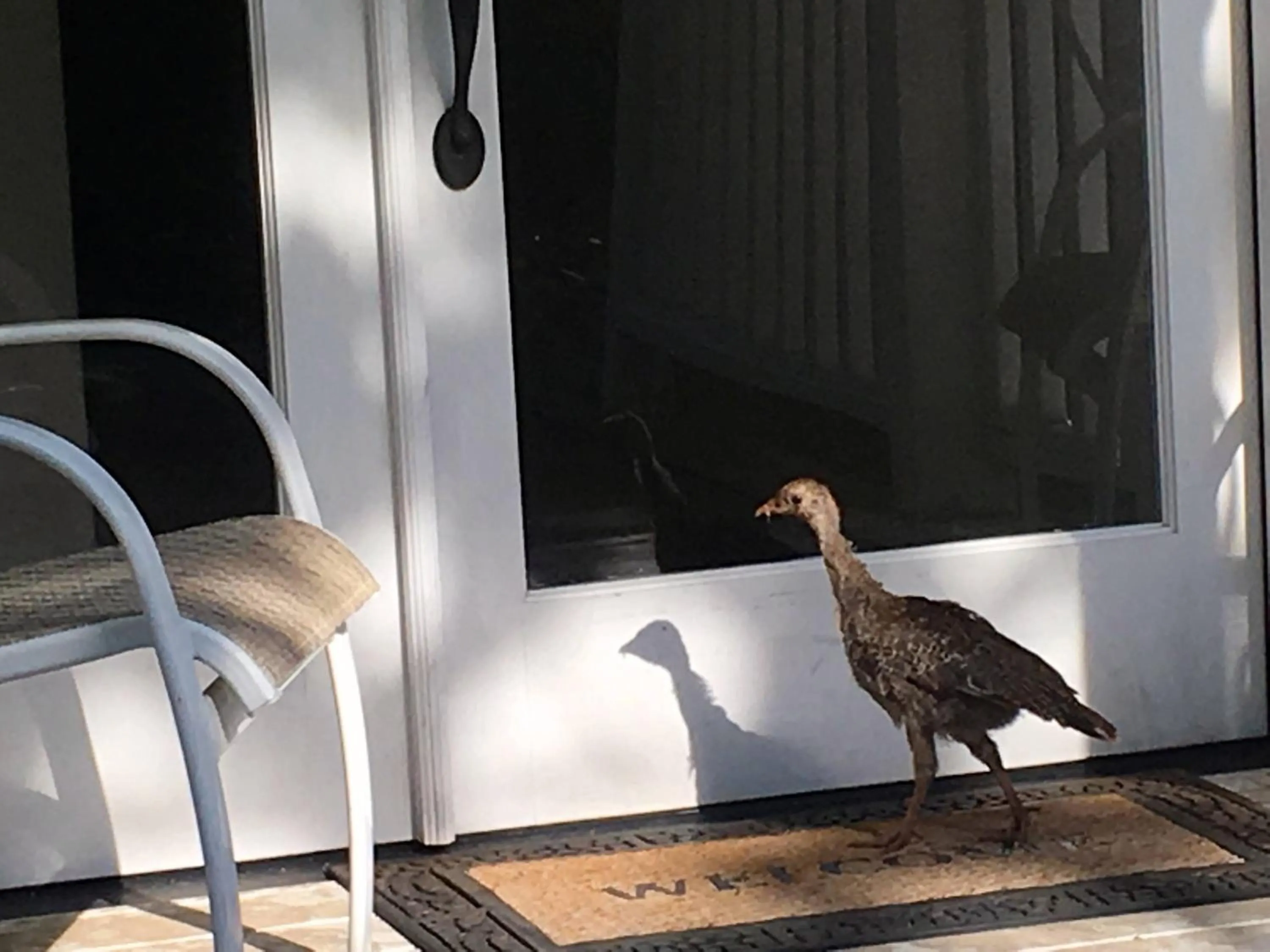 Bears' Place Guest House