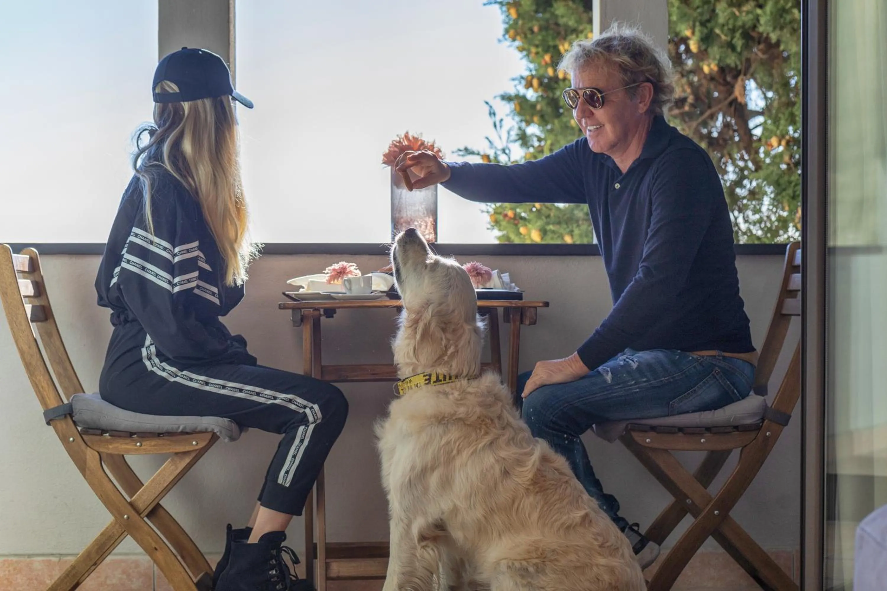 Animals in Baba Residences