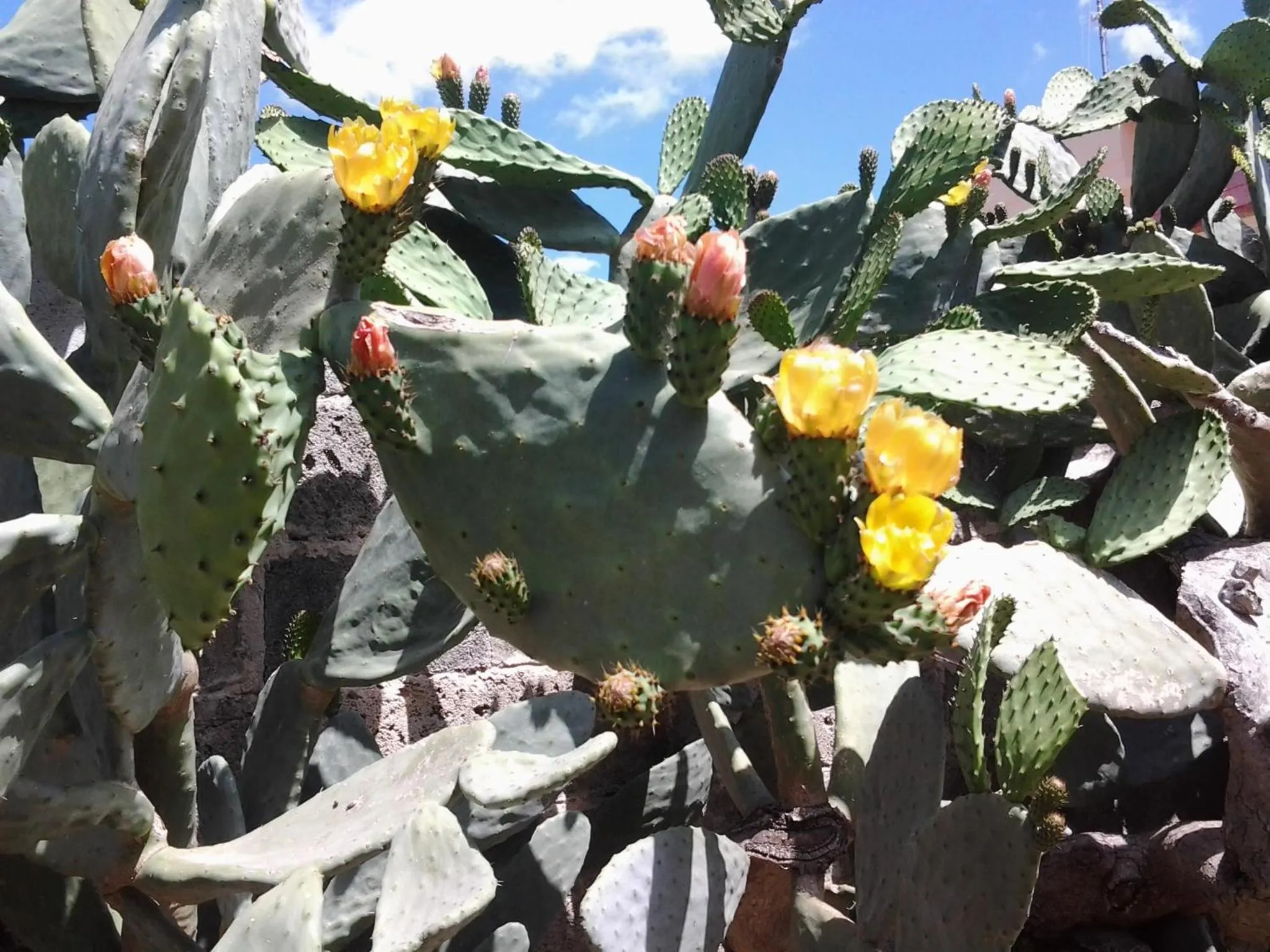 Day in B&B Terra Serena