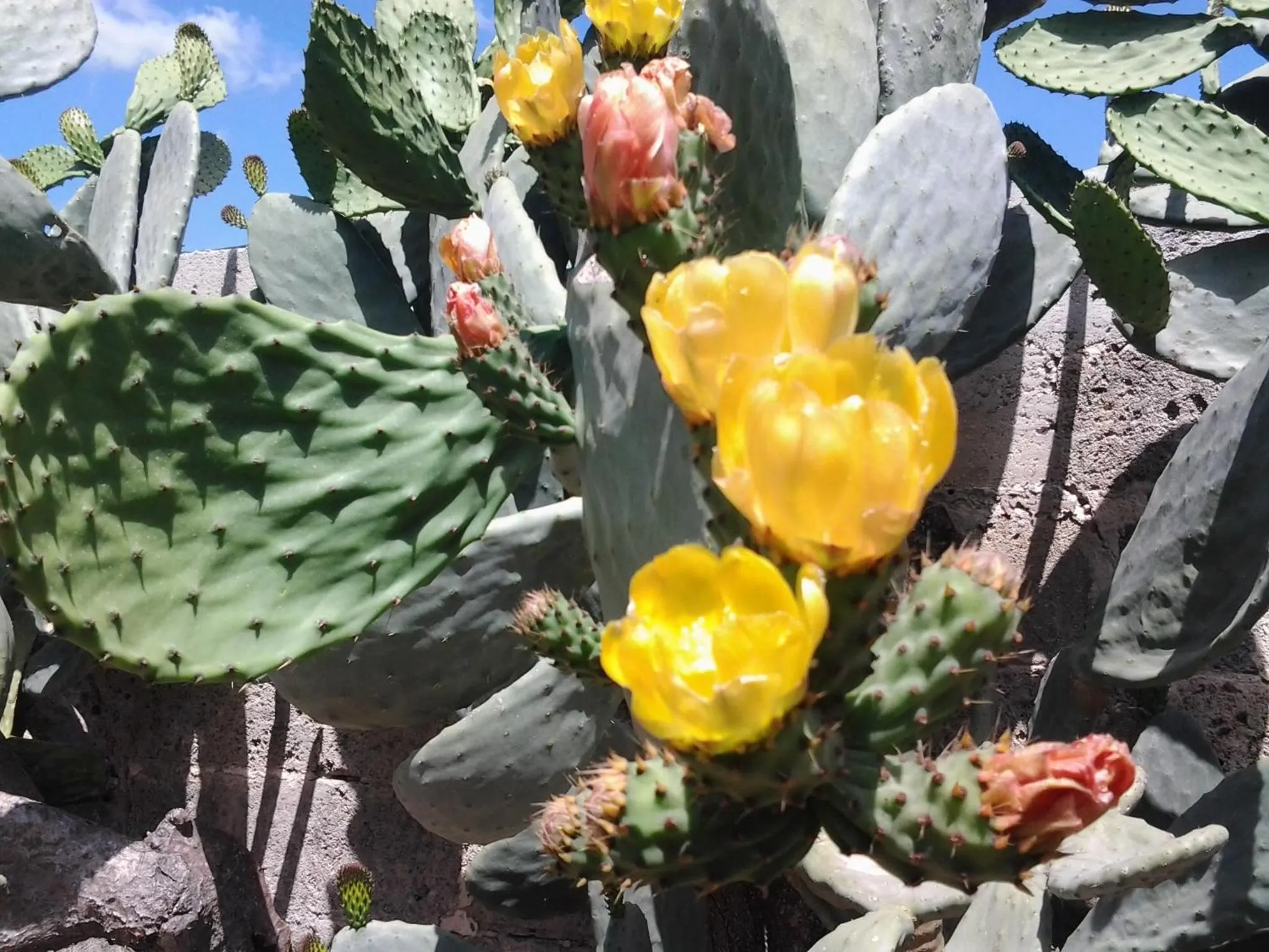 Other in B&B Terra Serena