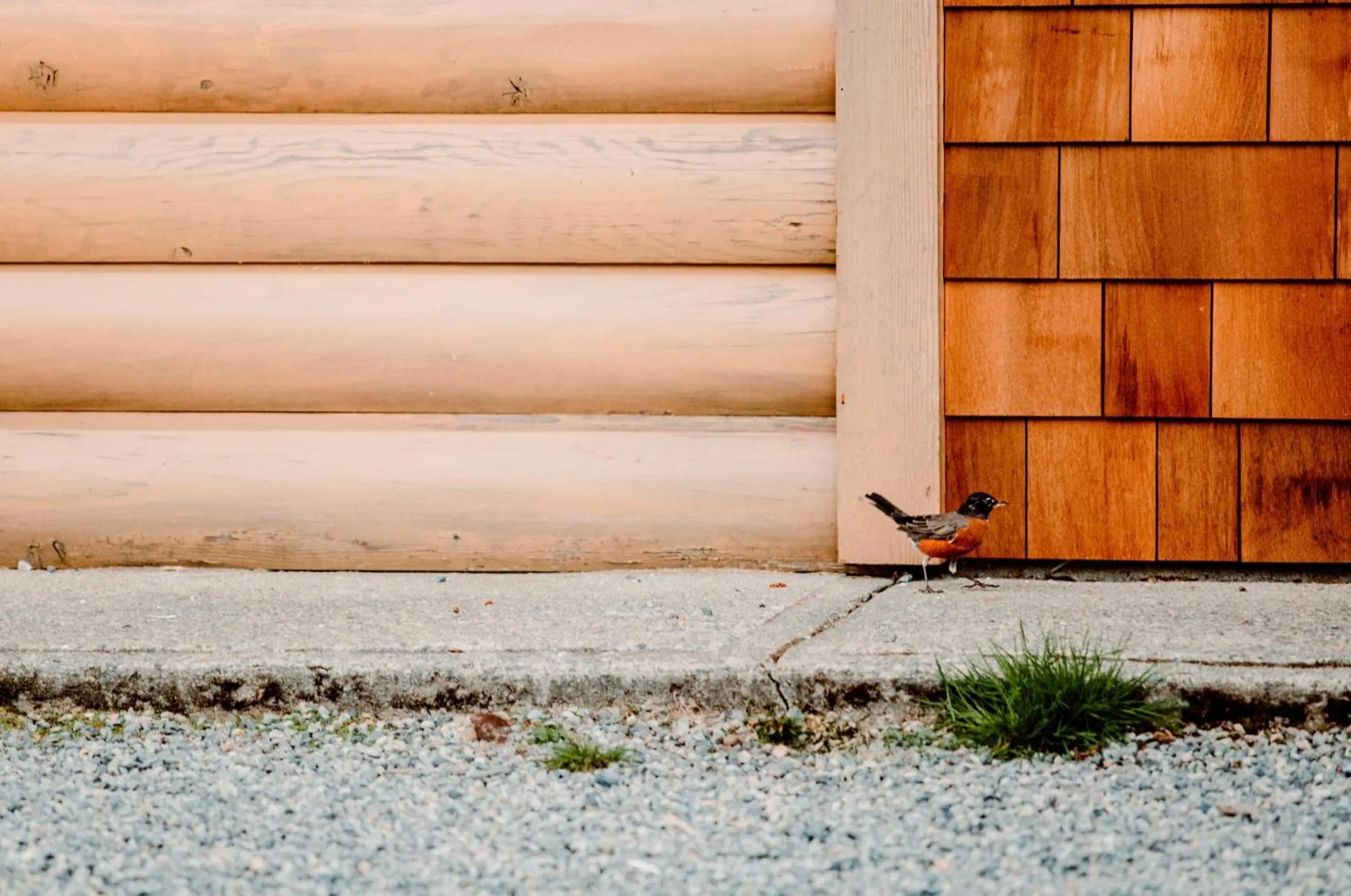 Cowichan River Lodge