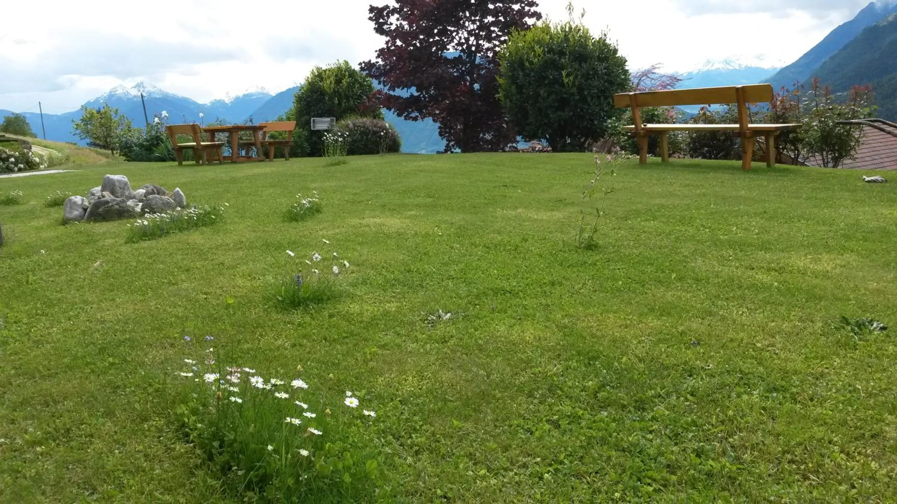 Garden in Hotel Garni Alpenhof
