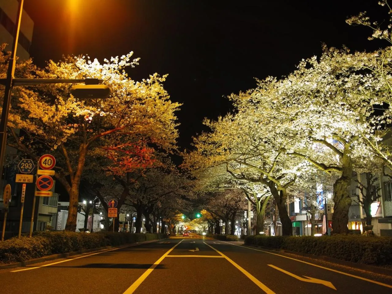 Spring in Tourist Hotel Hitachi