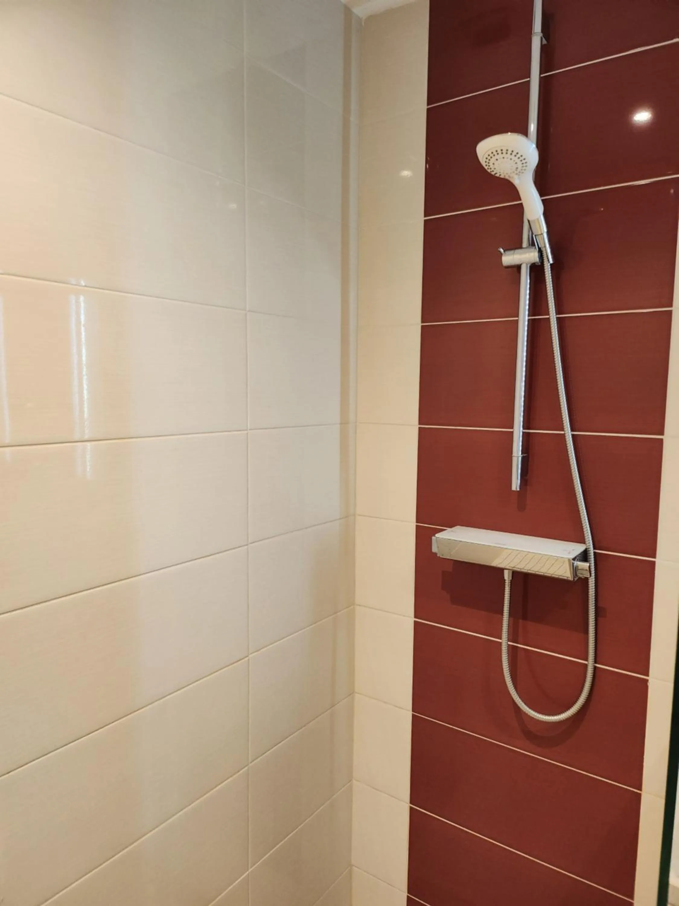 Shower in Kyriad Prestige Lyon Est - Saint Priest Eurexpo Hotel and SPA