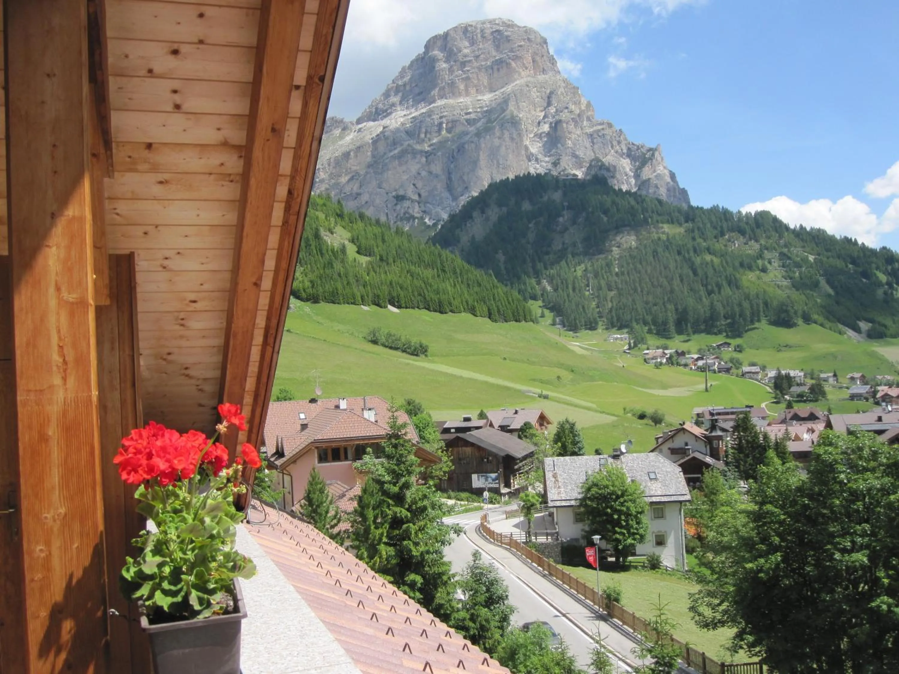 View (from property/room) in Hotel Borest