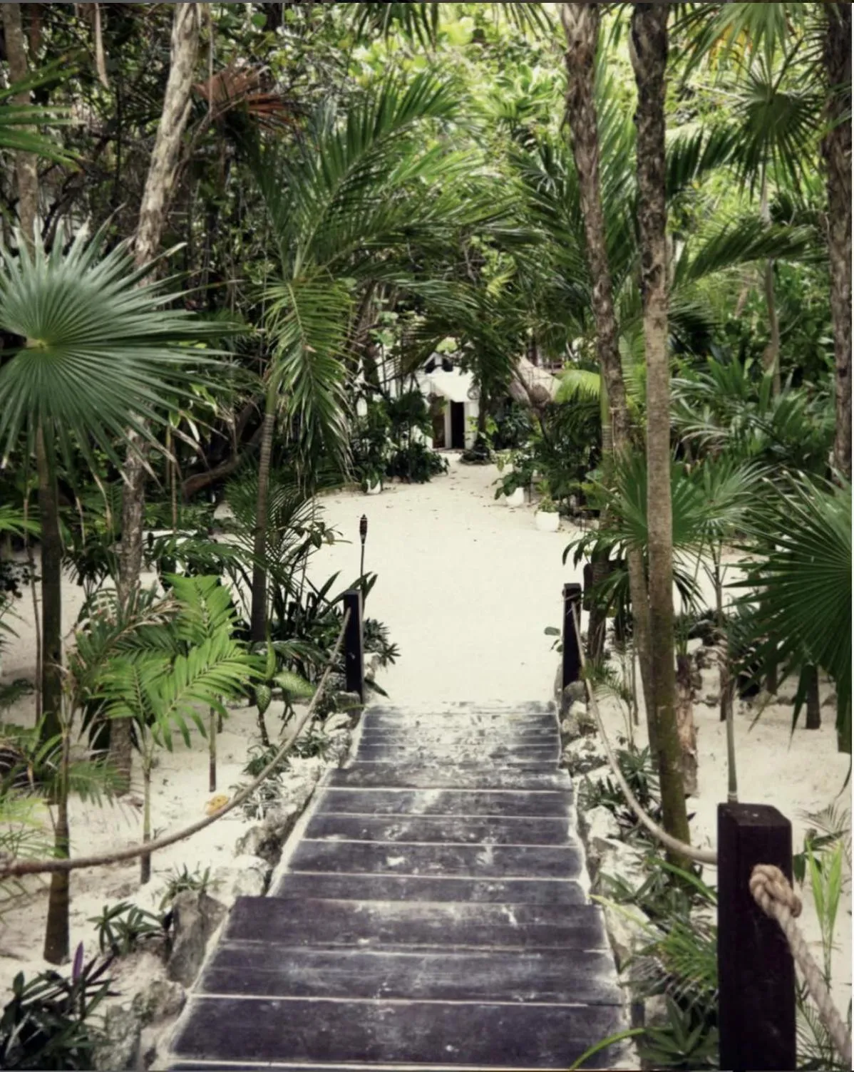 Garden in Casa Violeta