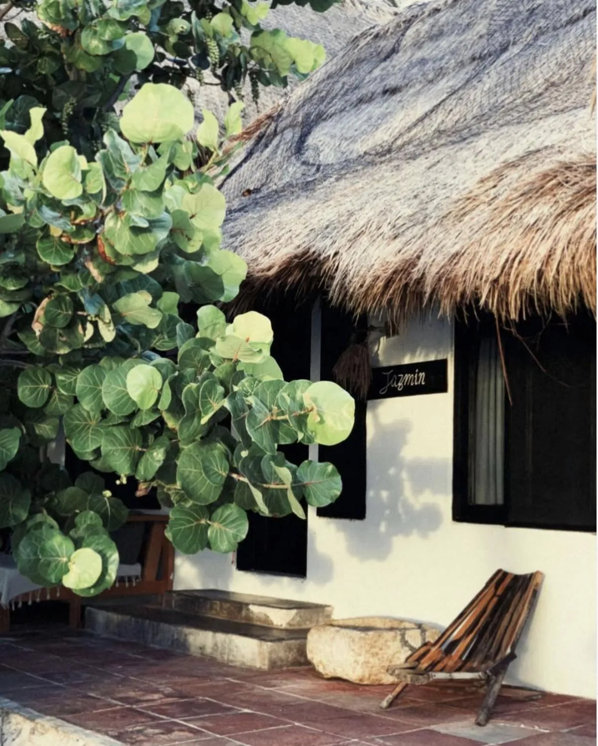 Other in Casa Violeta