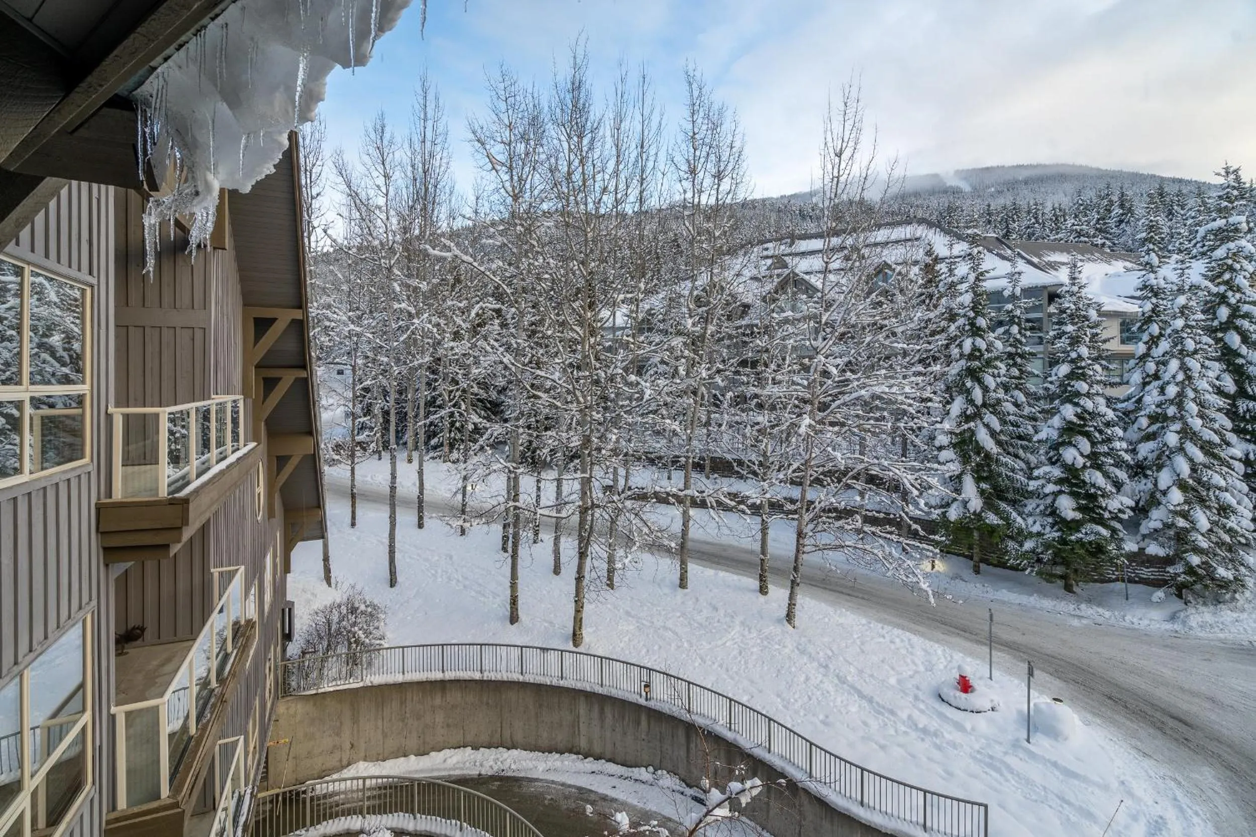 #433 The Aspens On Blackcomb
