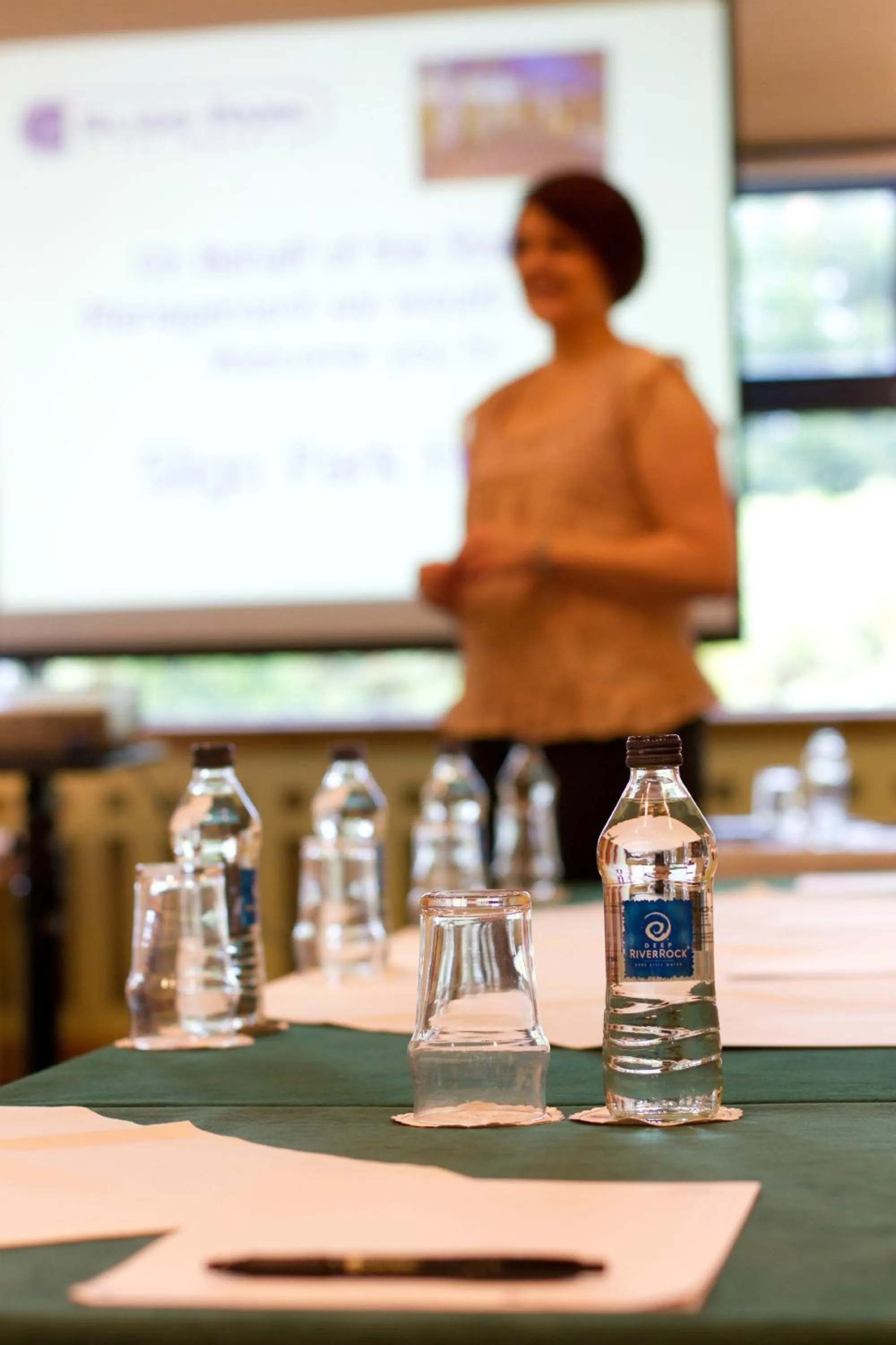 Business facilities in Sligo Park Hotel & Leisure Club