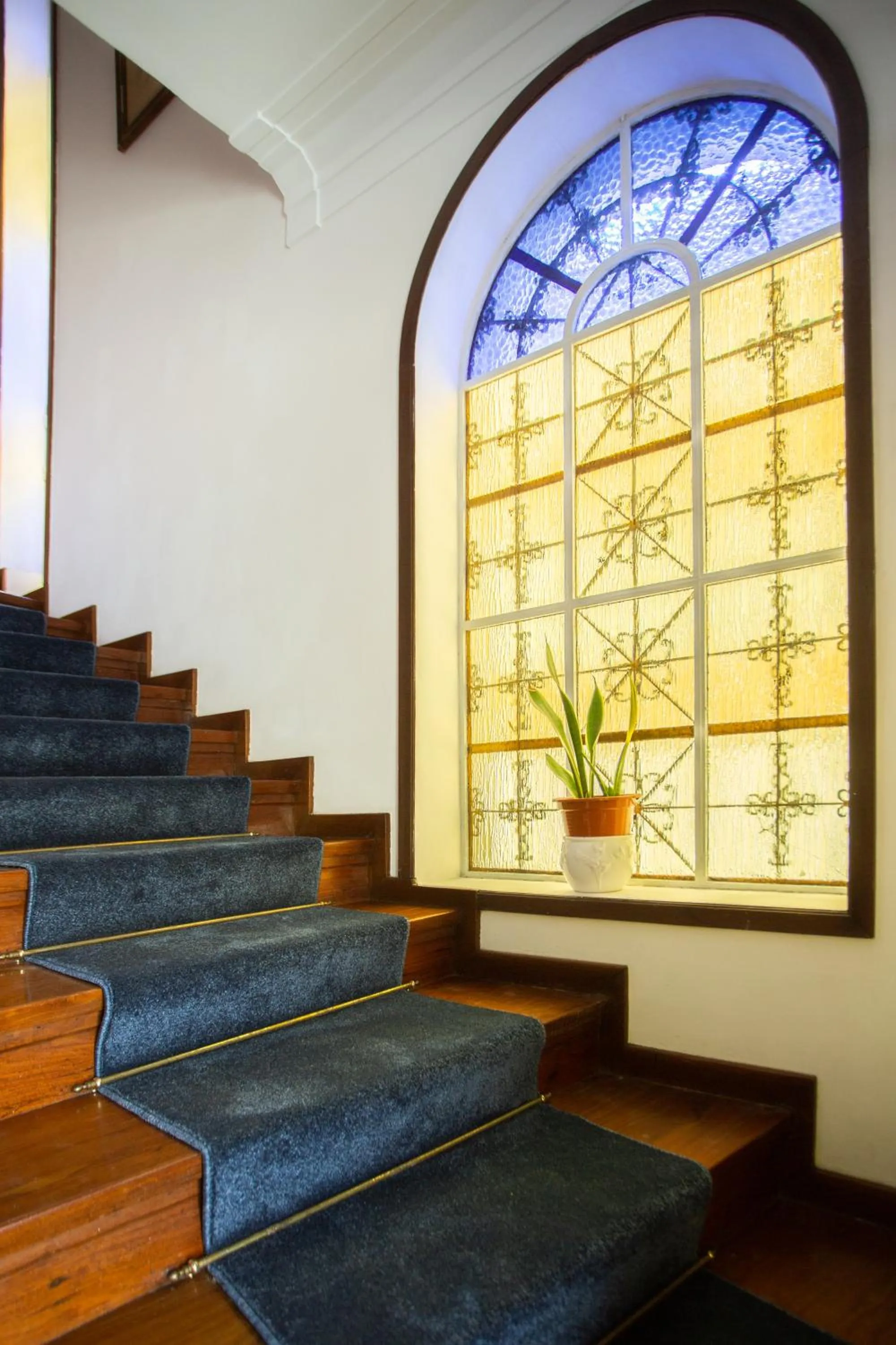 Lobby or reception in Hotel Borsalino
