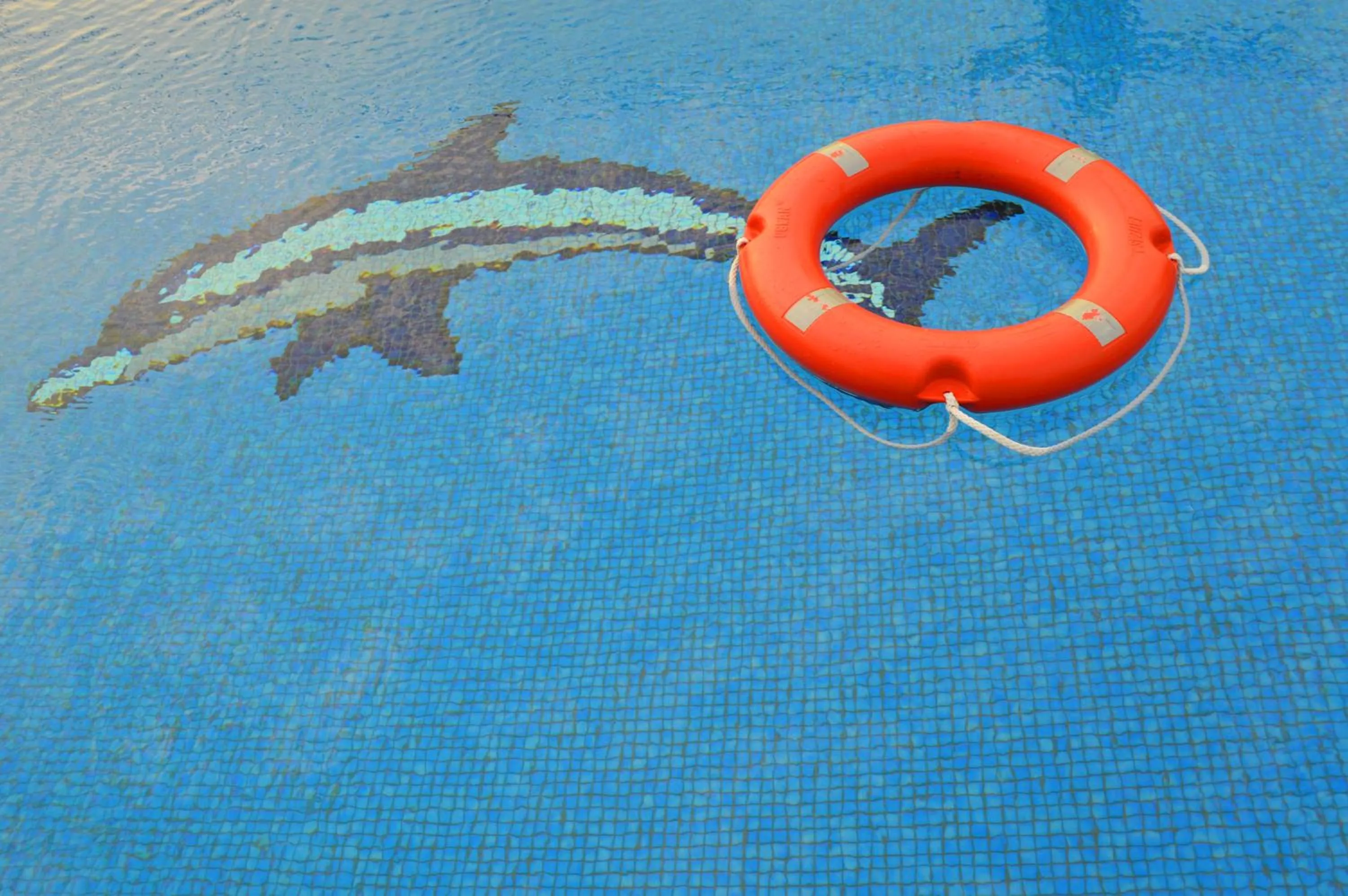 Swimming pool in Tulip Al Barsha Hotel Apartment