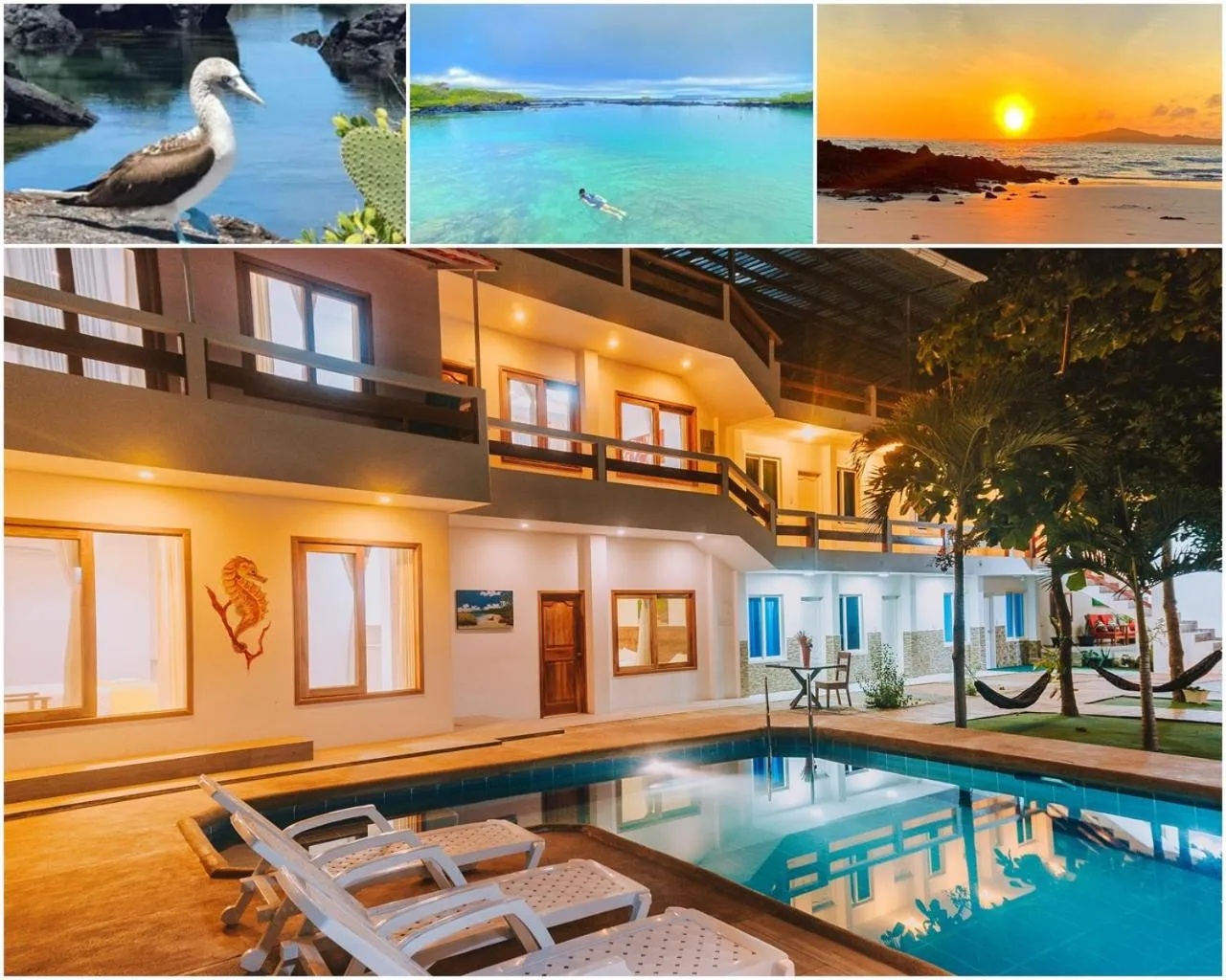 Pool view in Galápagos Isabela Hotel Loja