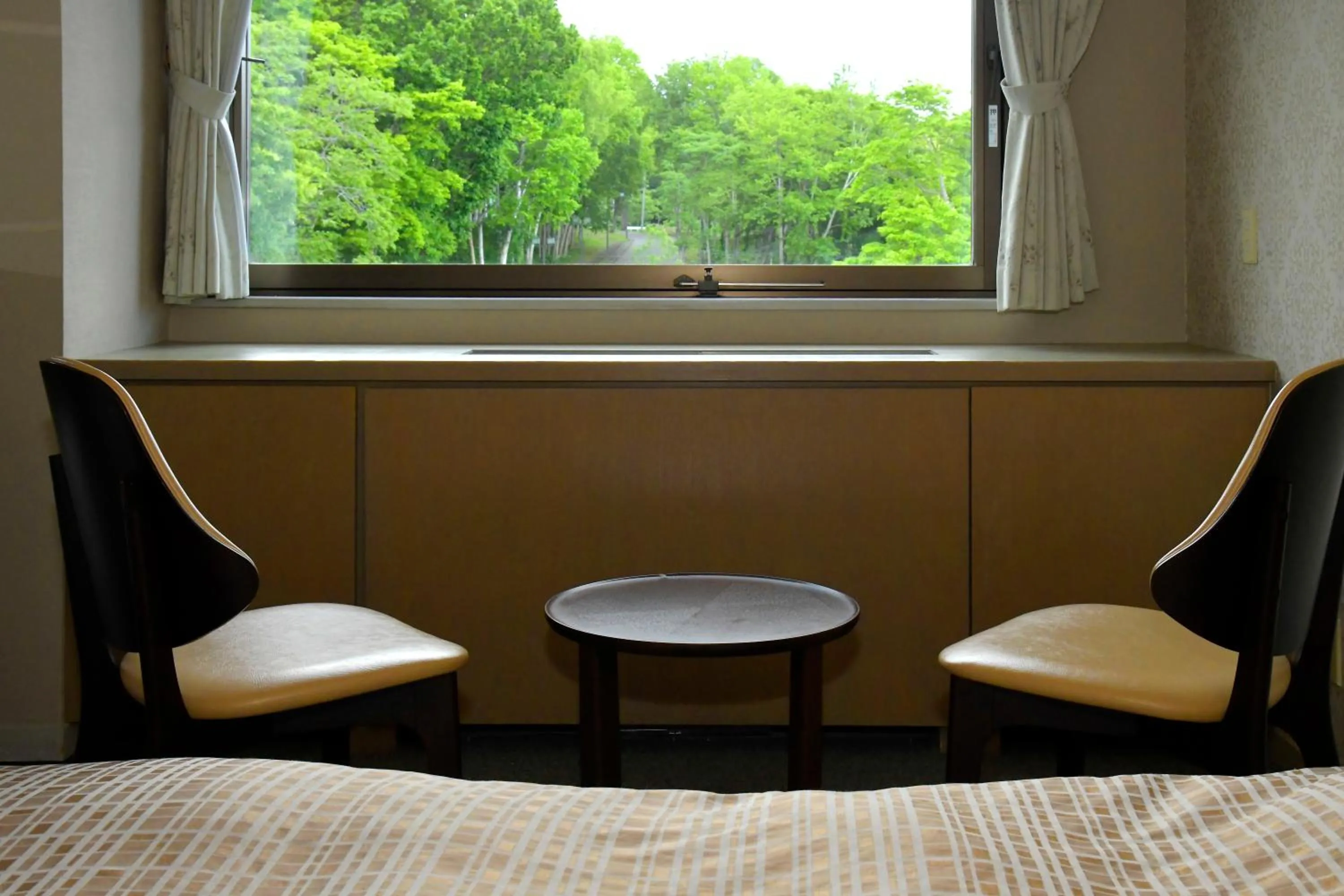 Photo of the whole room in Hotel Kanronomori