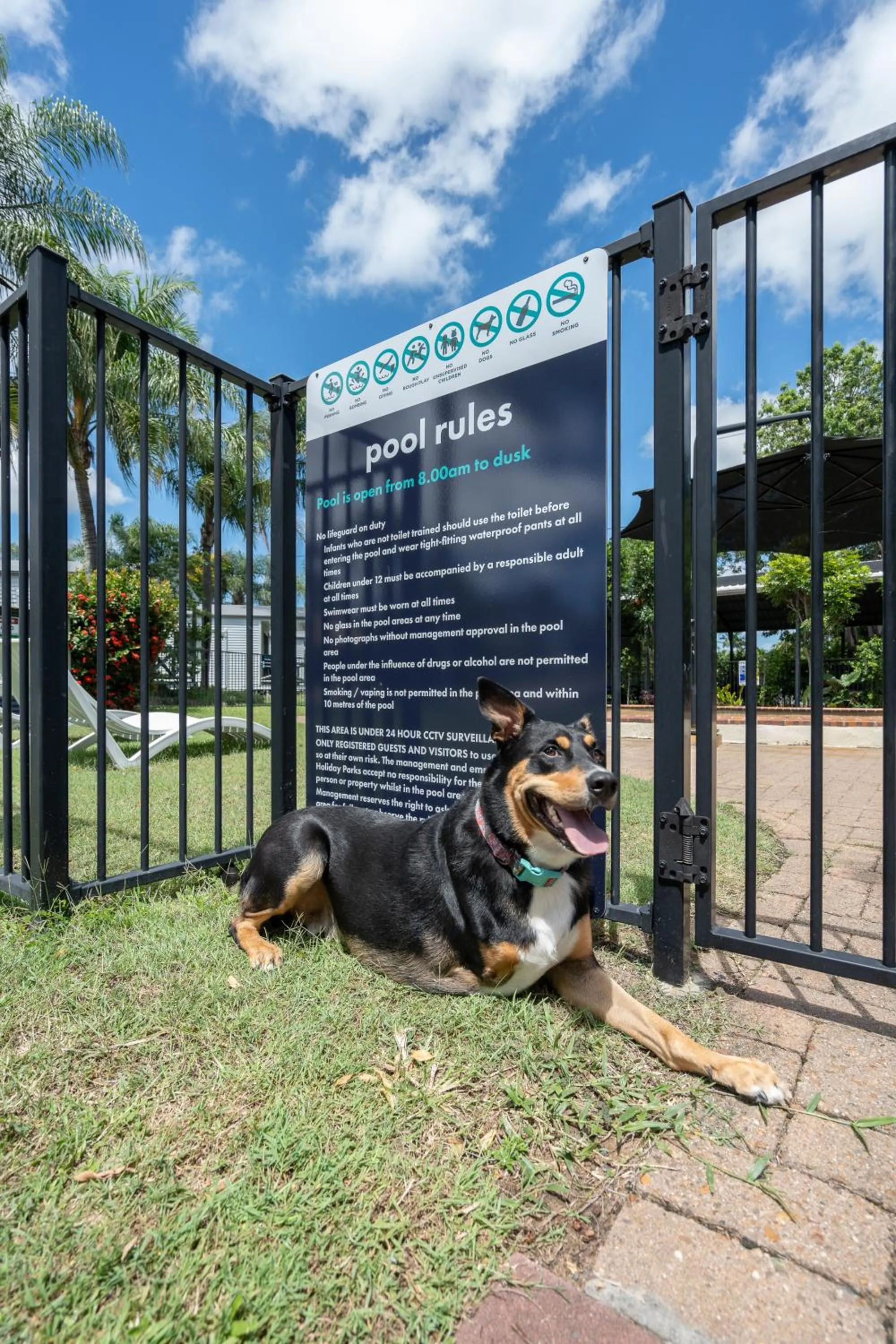 Tasman Holiday Parks - Hervey Bay