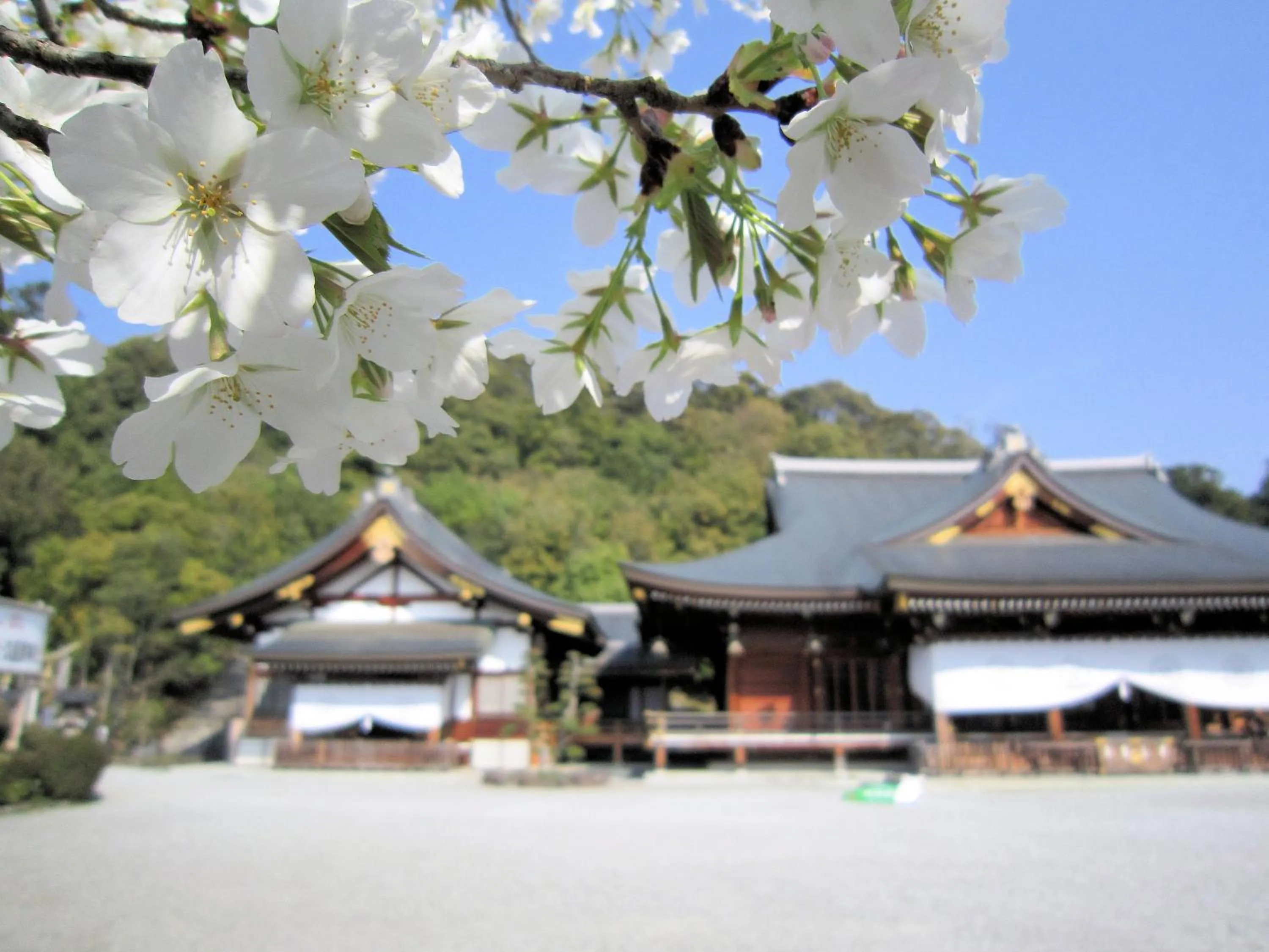 Spring in Ryokan Taishoro