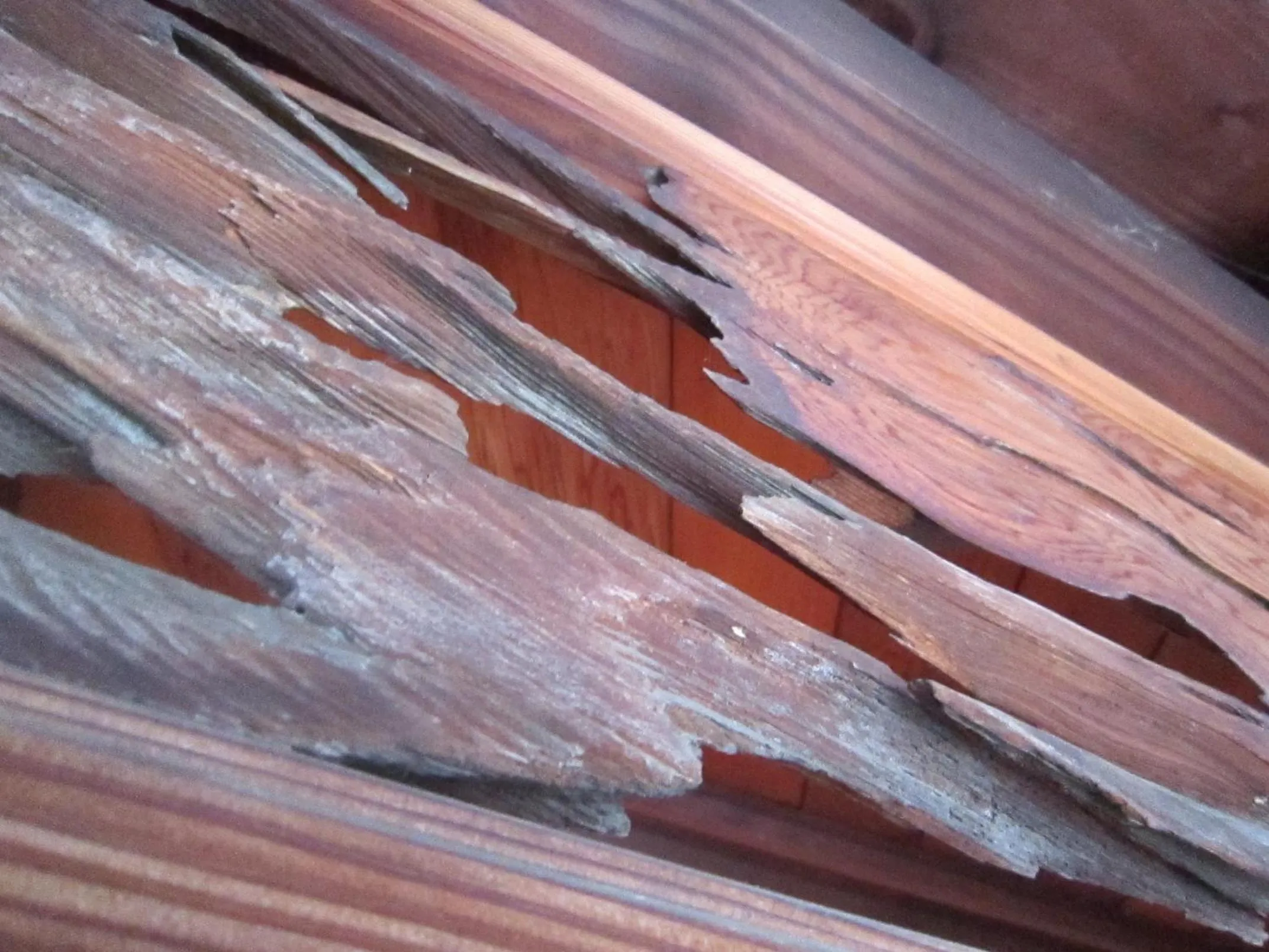 Decorative detail in Ryokan Taishoro