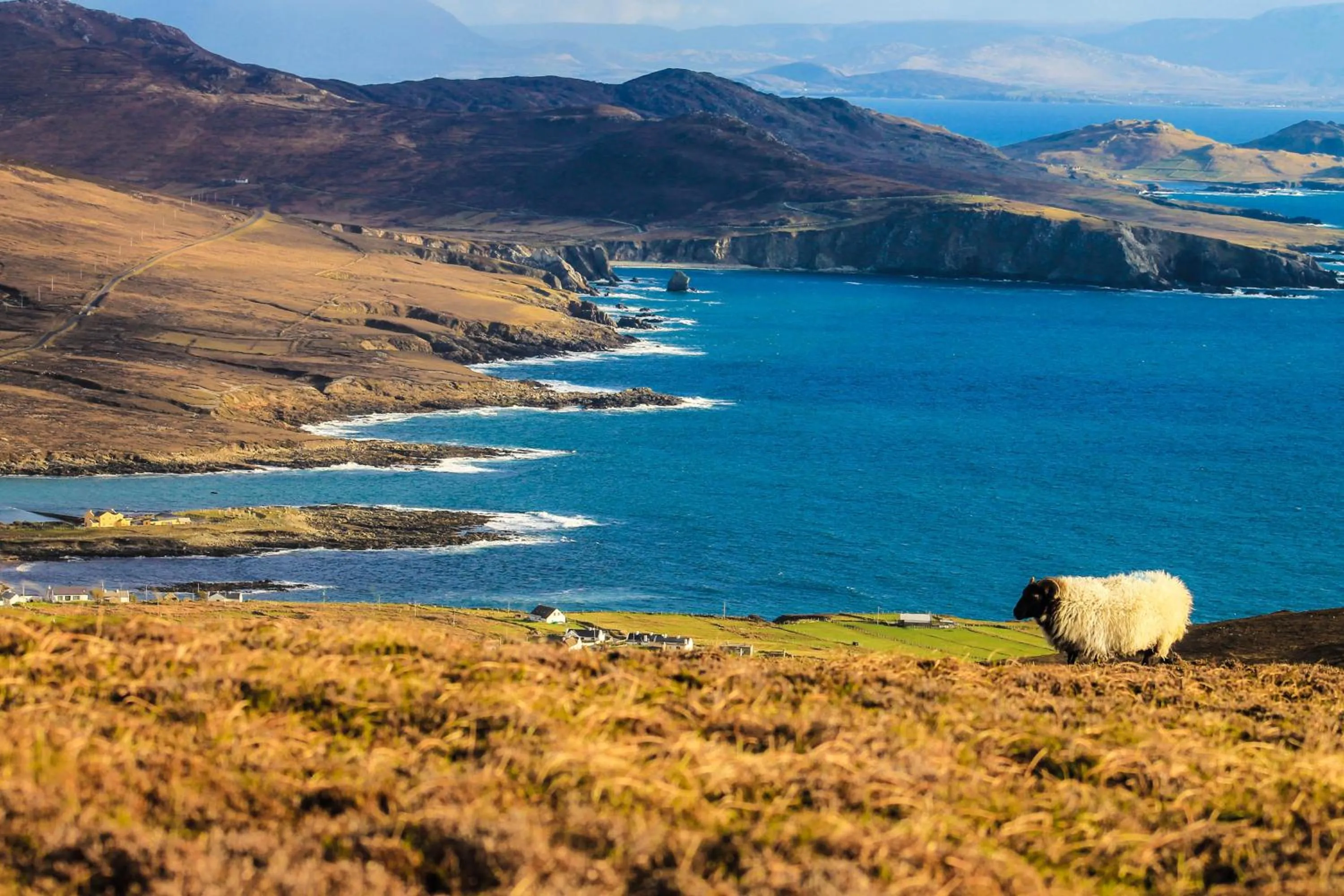 Natural landscape in Mulranny Park Hotel