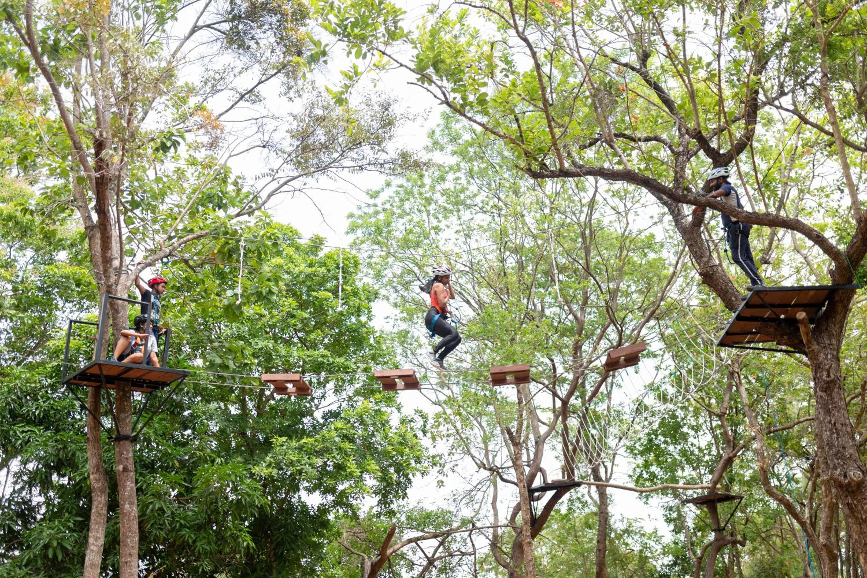 Day in Occidental Paradise Dambulla