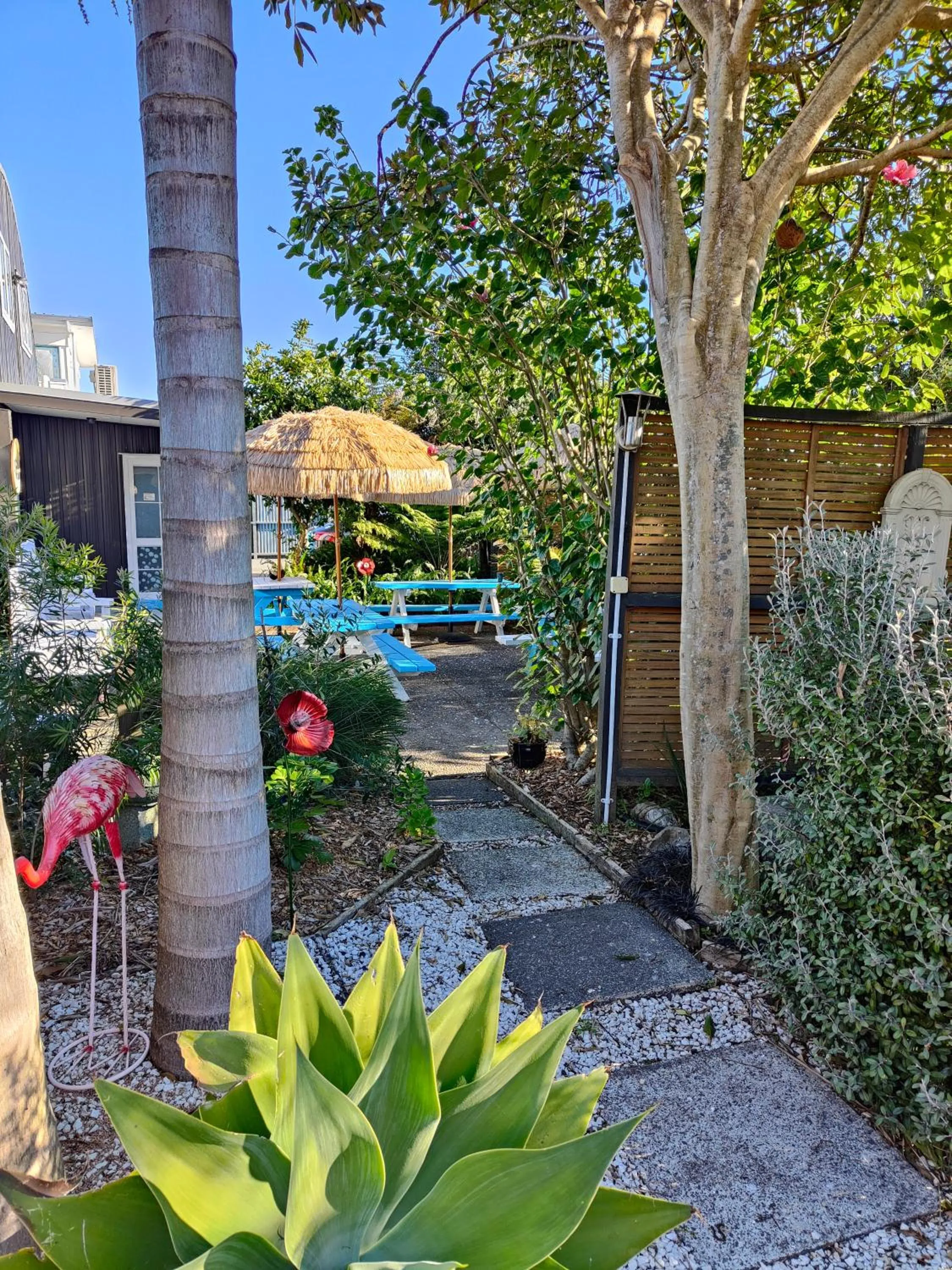 Garden in Southpacific Motel
