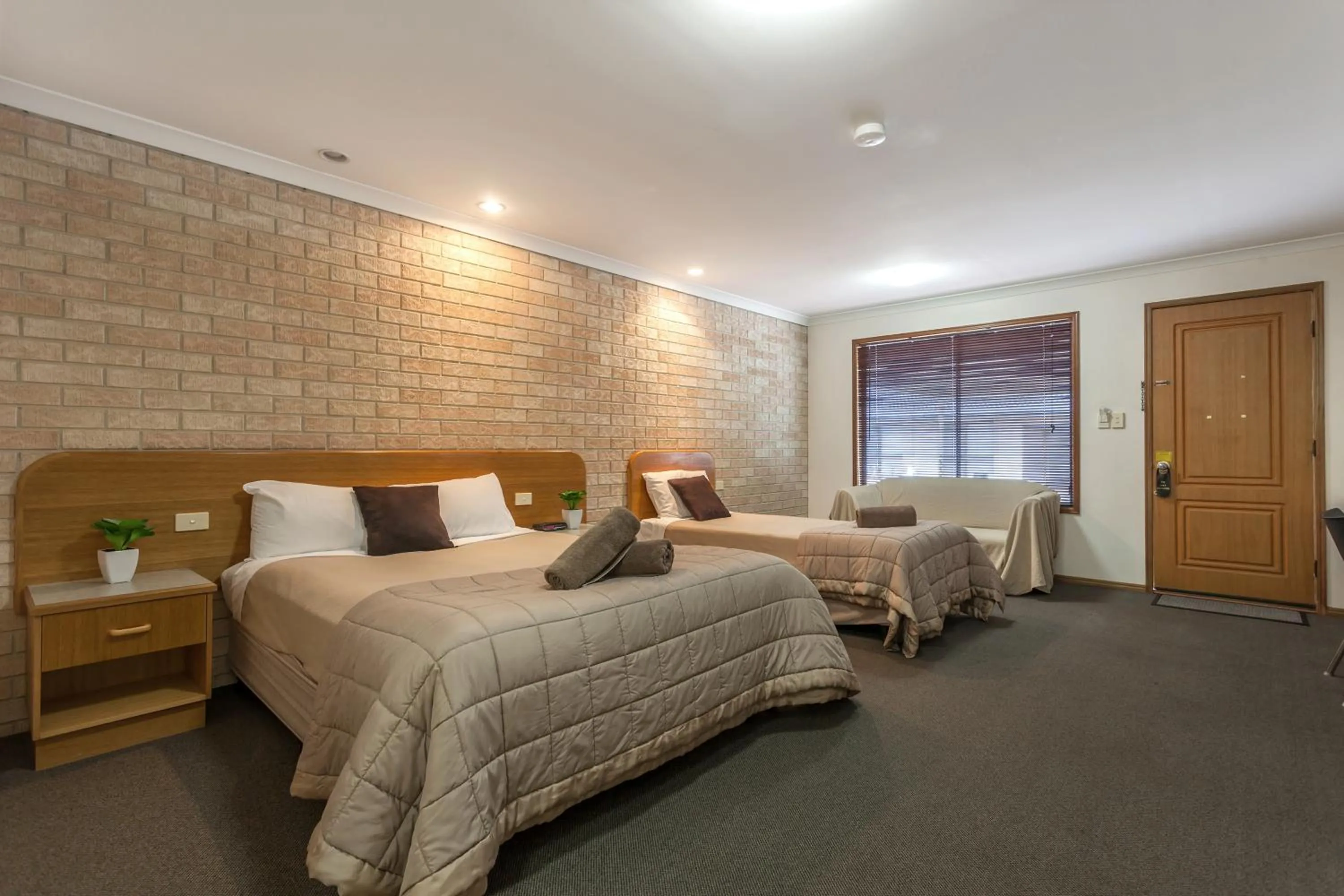 Photo of the whole room, Bed in Clifford Gardens Motor Inn