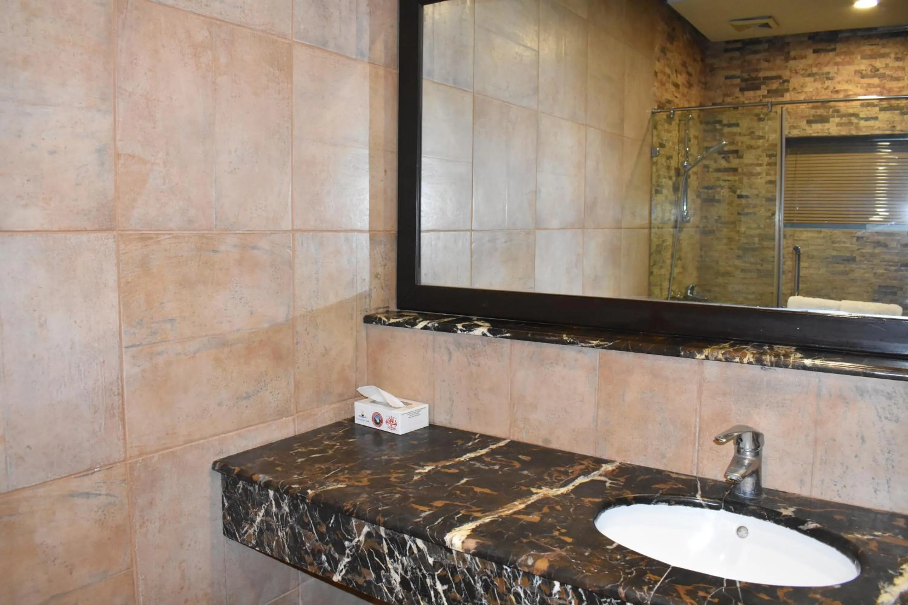 Bathroom in Safari Club 1