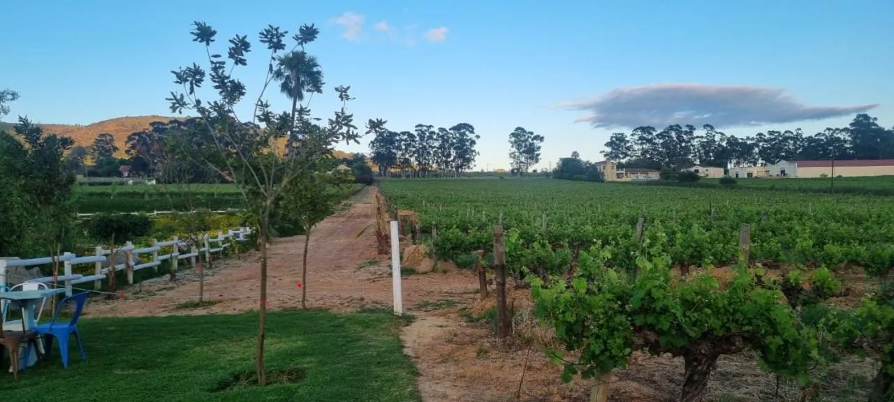 Natural landscape in Middelplaas Paarl Guesthouse