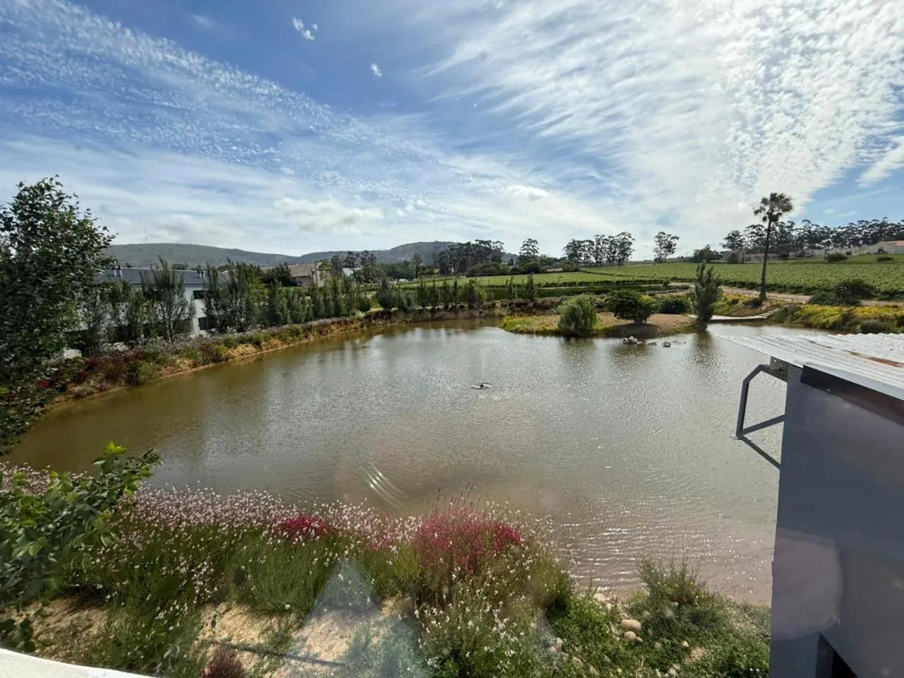 Day in Middelplaas Paarl Guesthouse