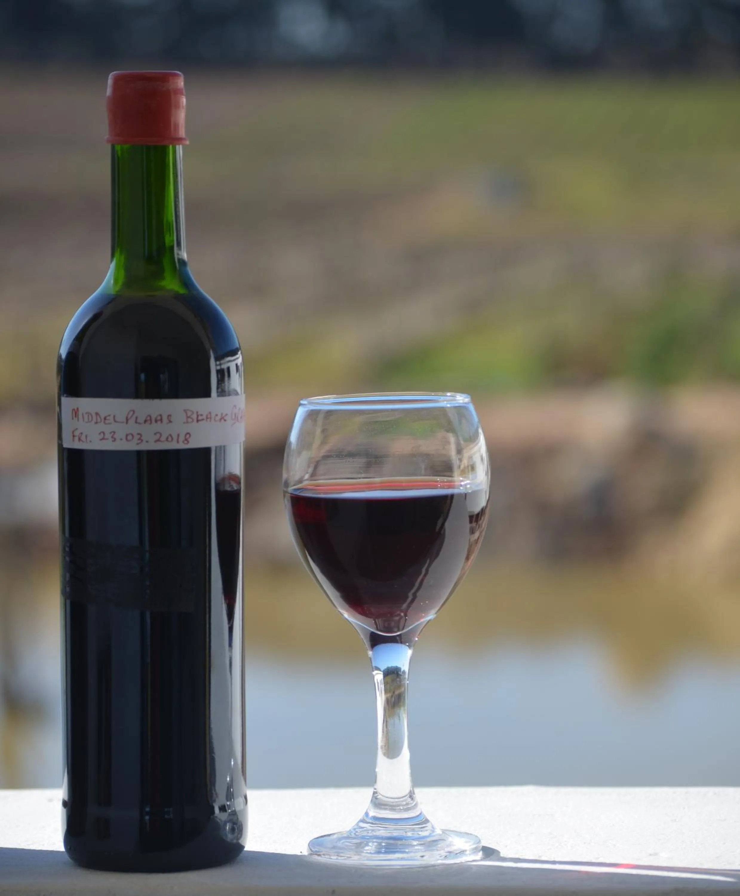 Day in Middelplaas Paarl Guesthouse