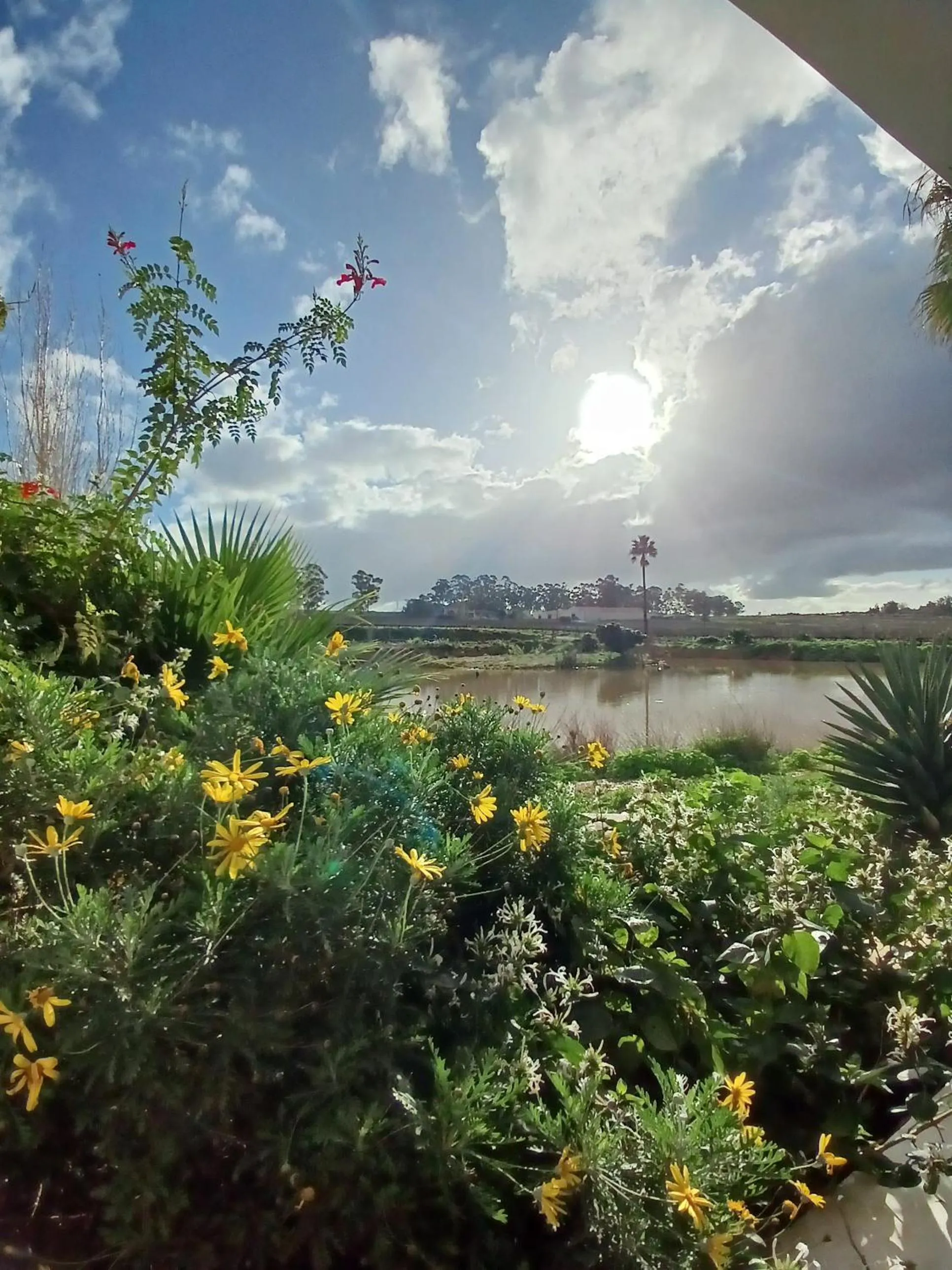 Spring in Middelplaas Paarl Guesthouse