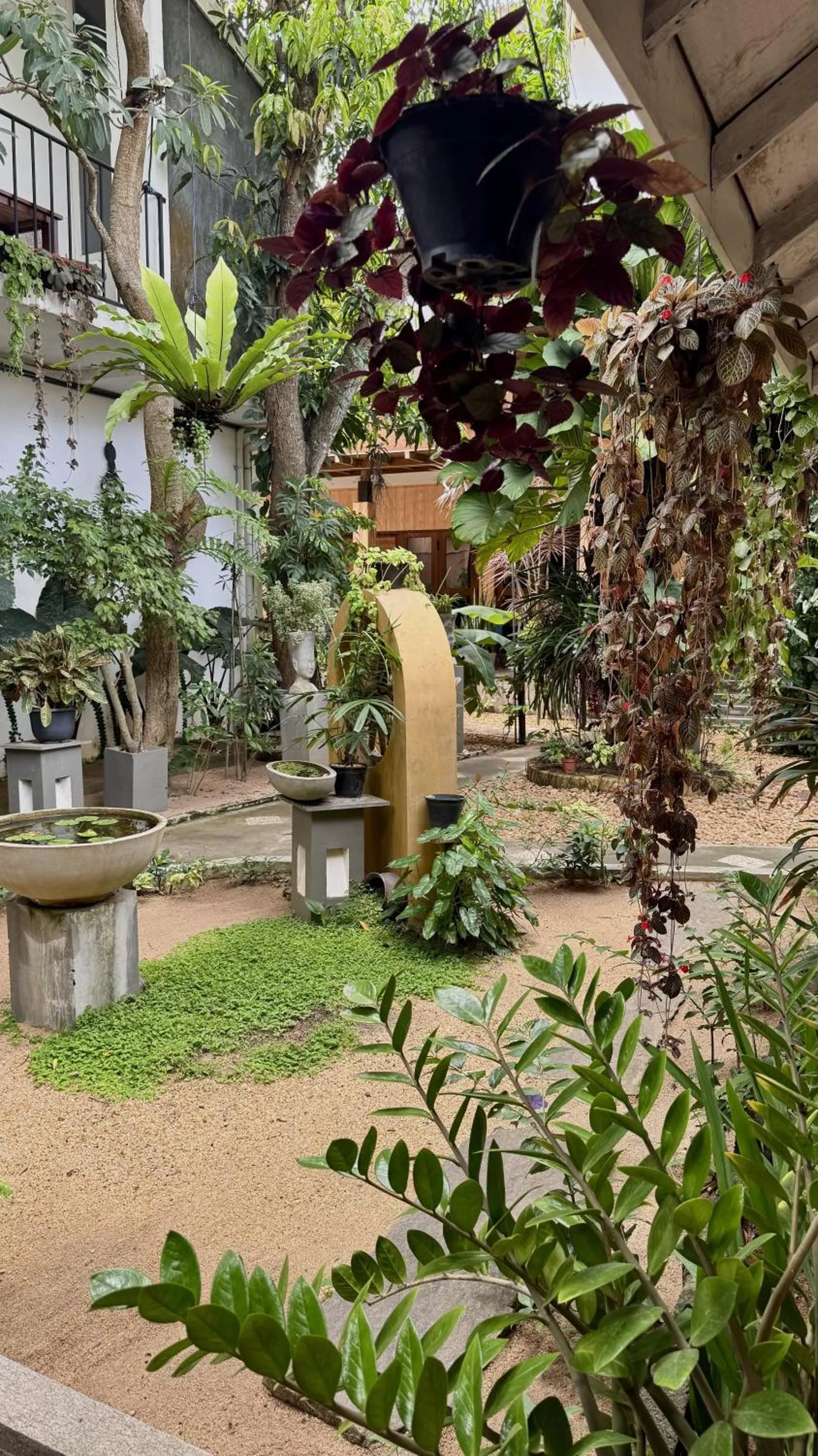 Garden in Gomez Place