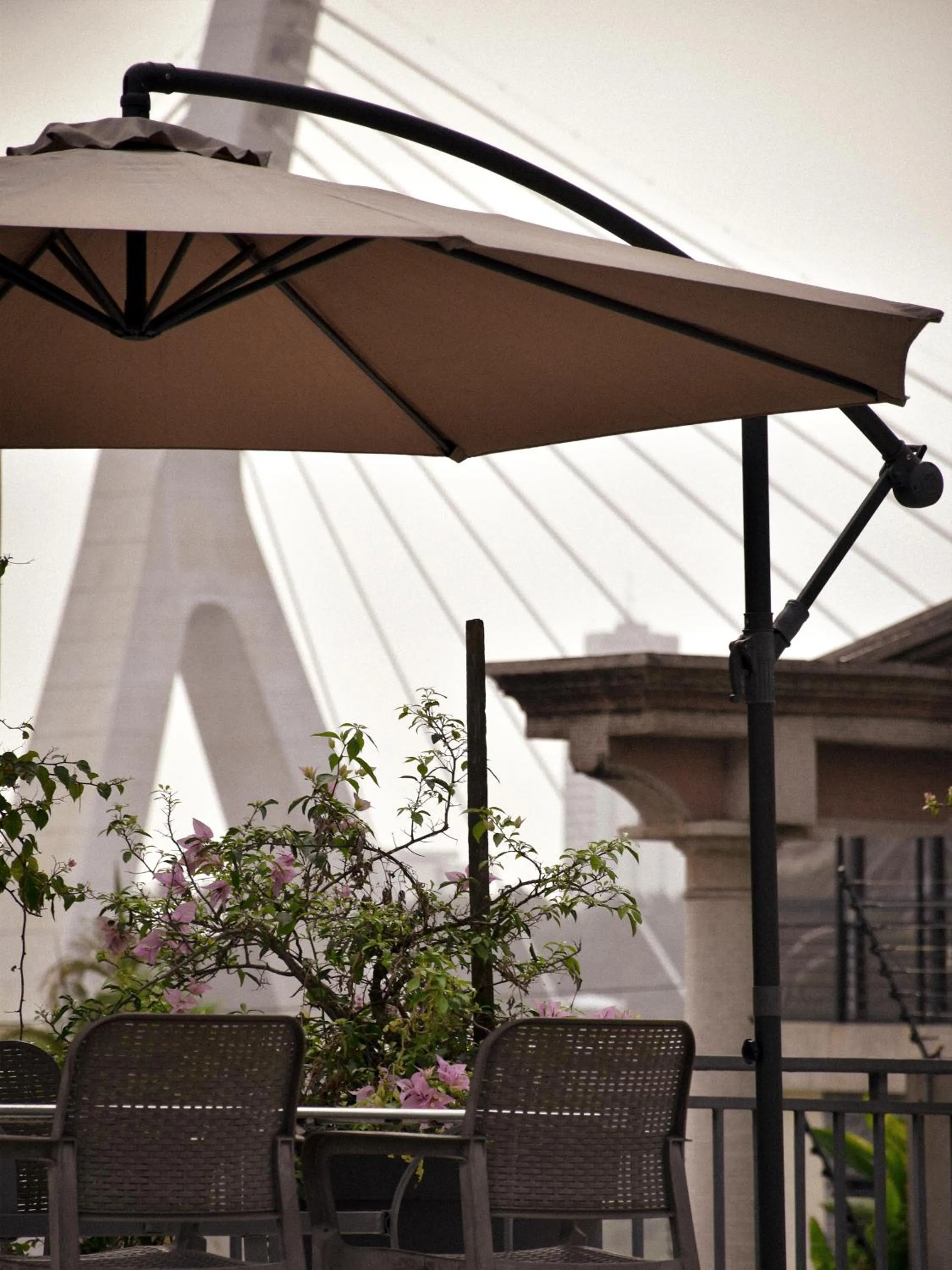 Patio in Résidences Les Hauts de l'Indenié