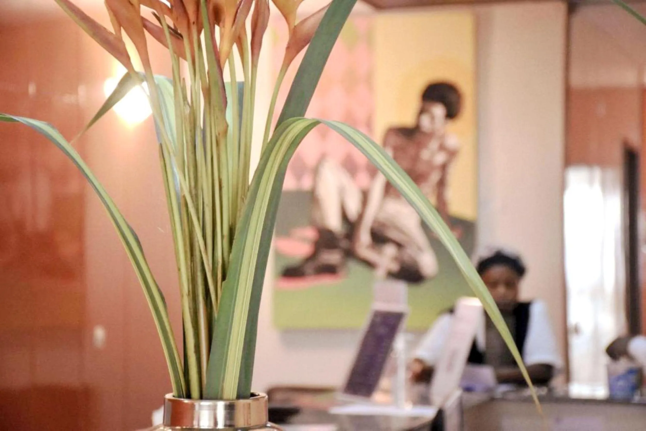 People in Résidences Les Hauts de l'Indenié