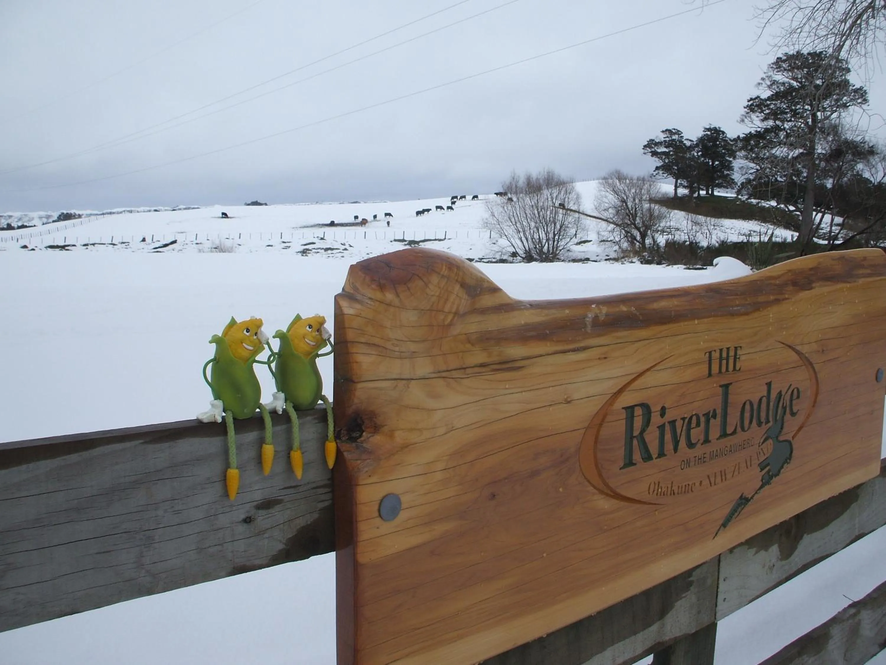 Property logo or sign in The River Lodge