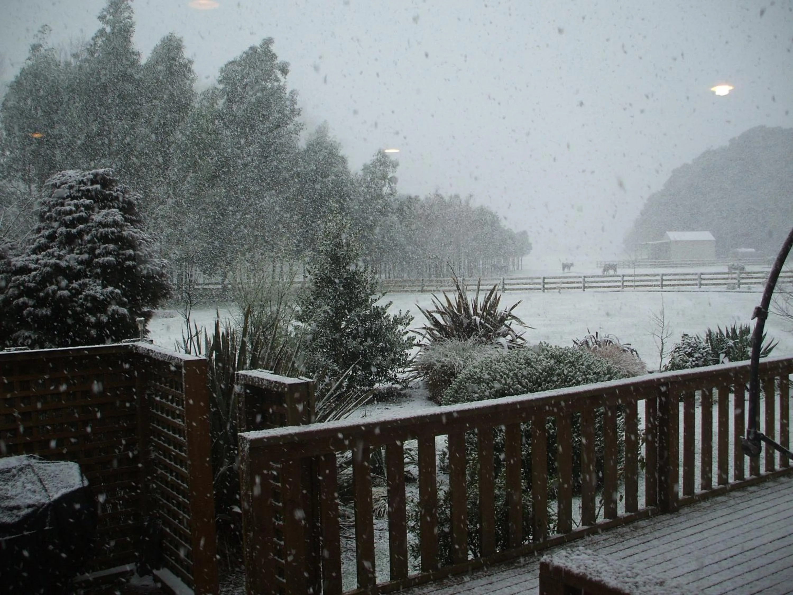Natural landscape in The River Lodge