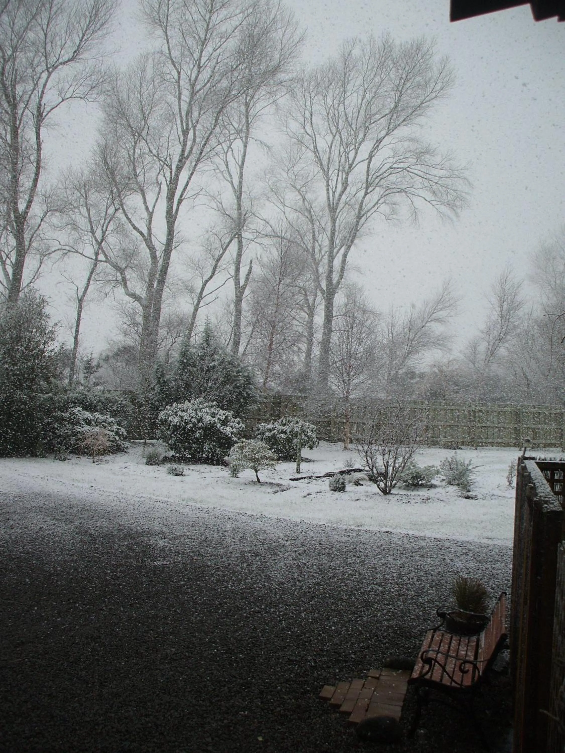 Winter in The River Lodge