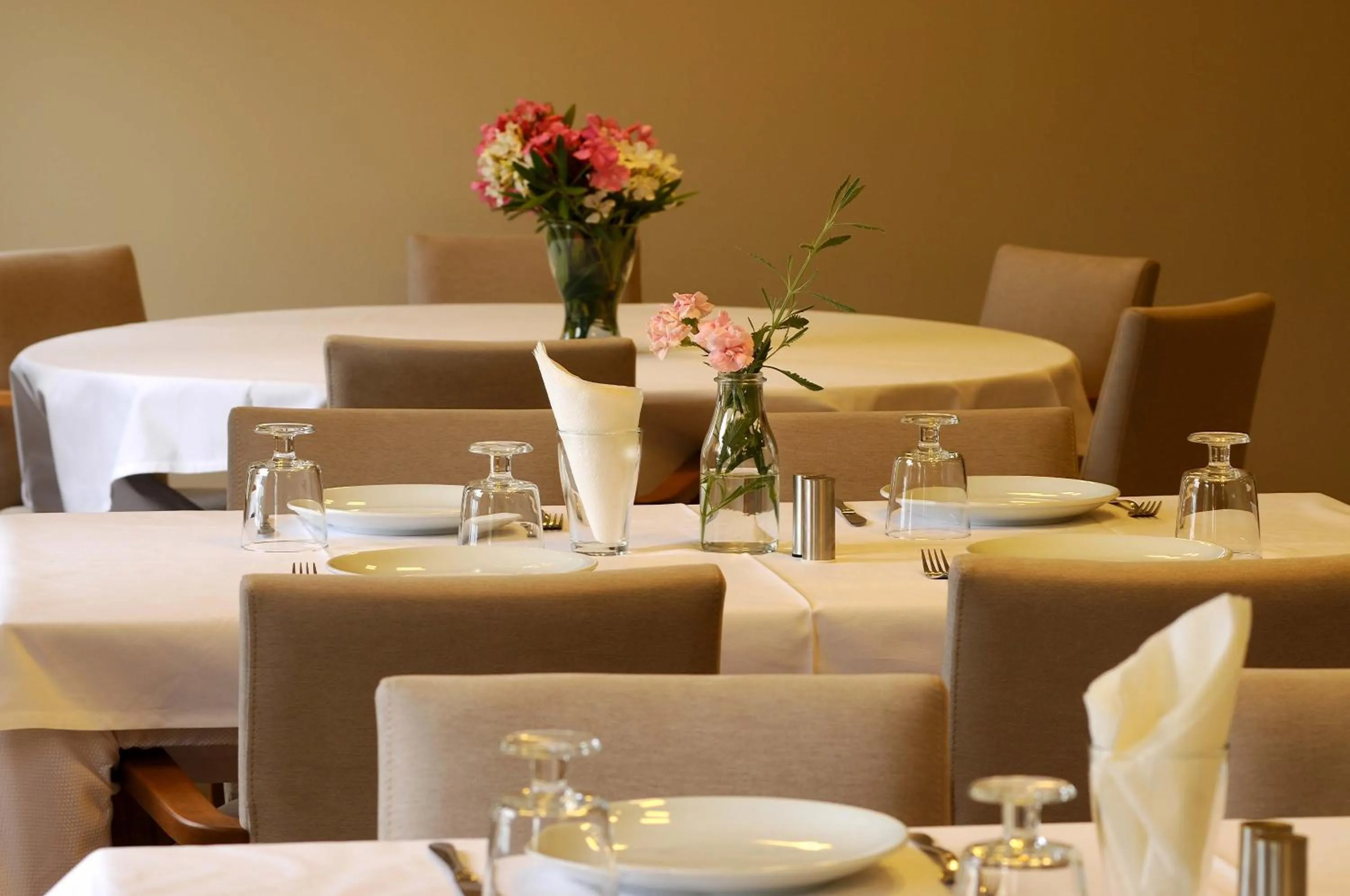 Restaurant/places to eat in Teos Lodge Pansiyon