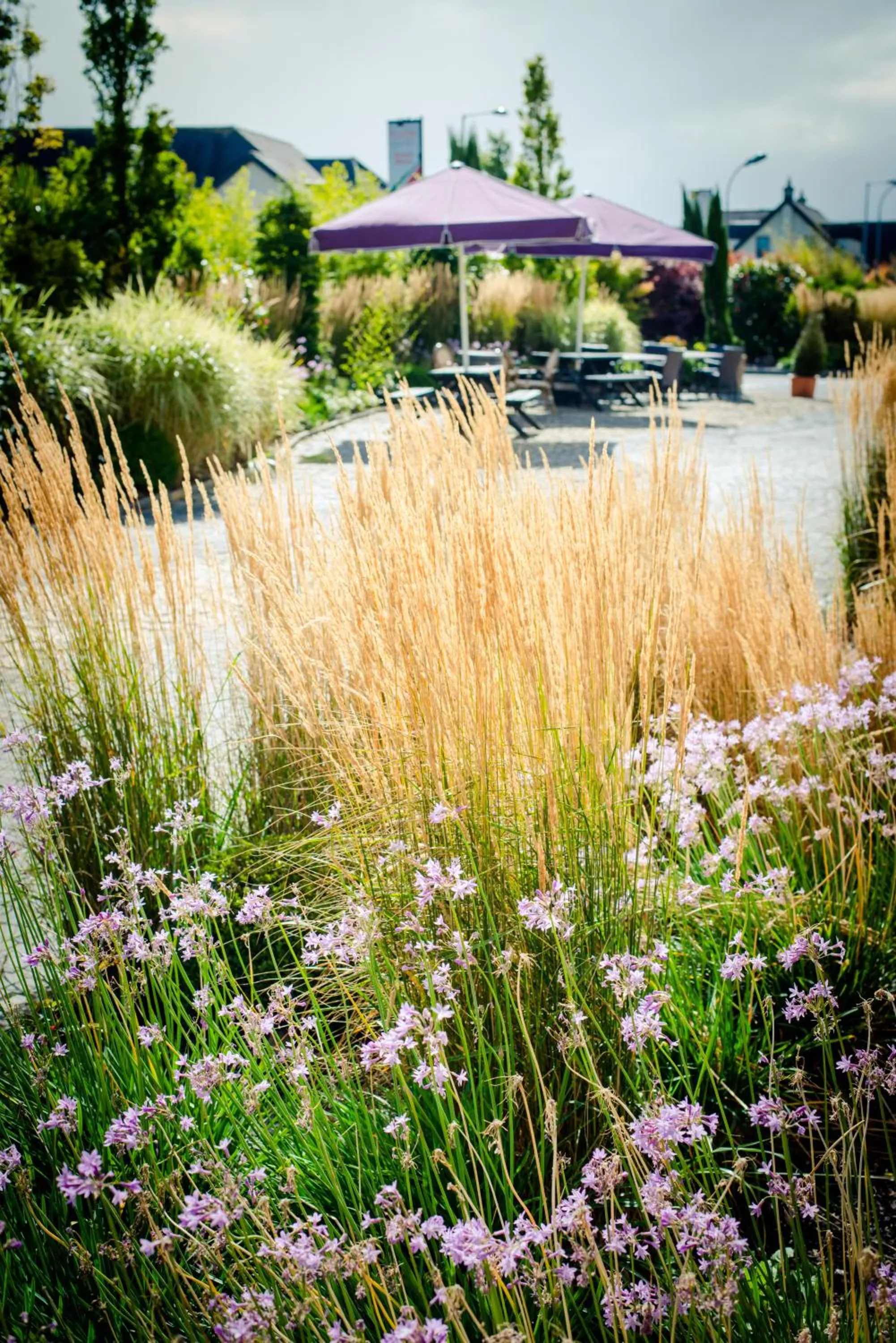 Garden in Westgrove Hotel