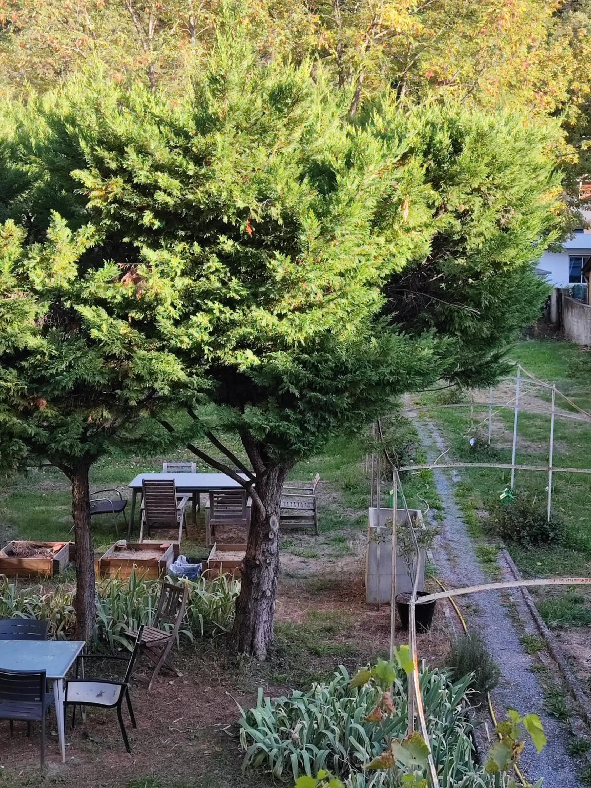 Garden in Alexandra Apartments