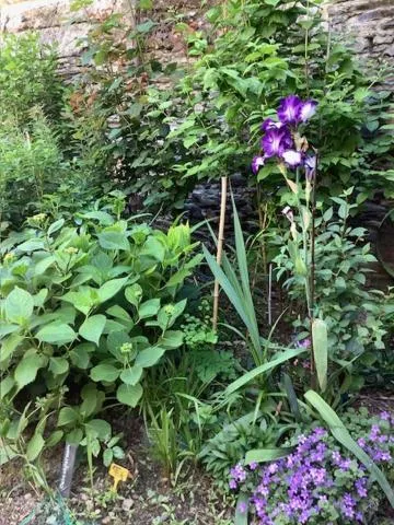 LE BEAU REPAIRE, chambres d'hôtes, quartier historique, 1 à 3 chambres, étage indépendant