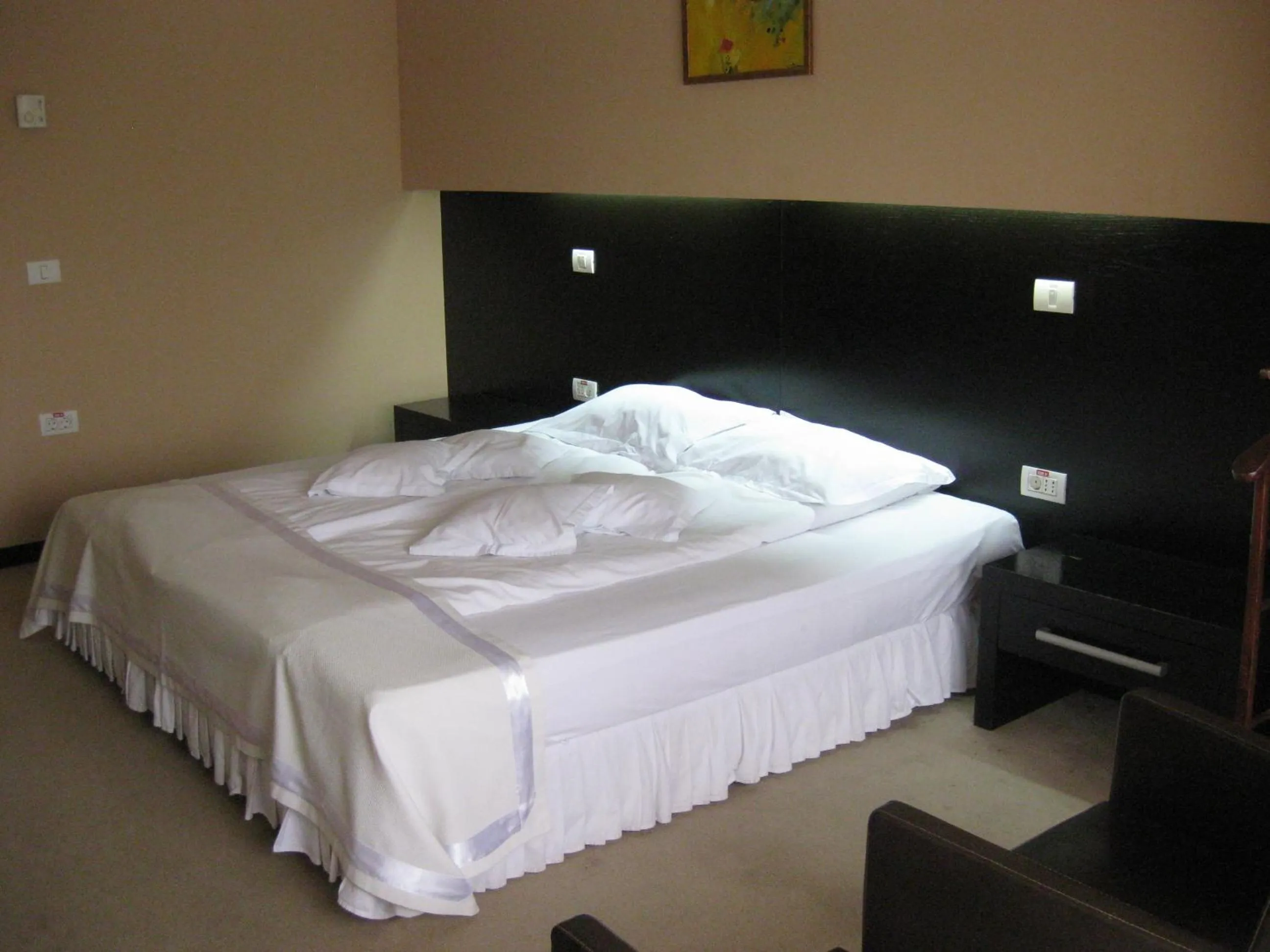 Bed in Hotel Delpack