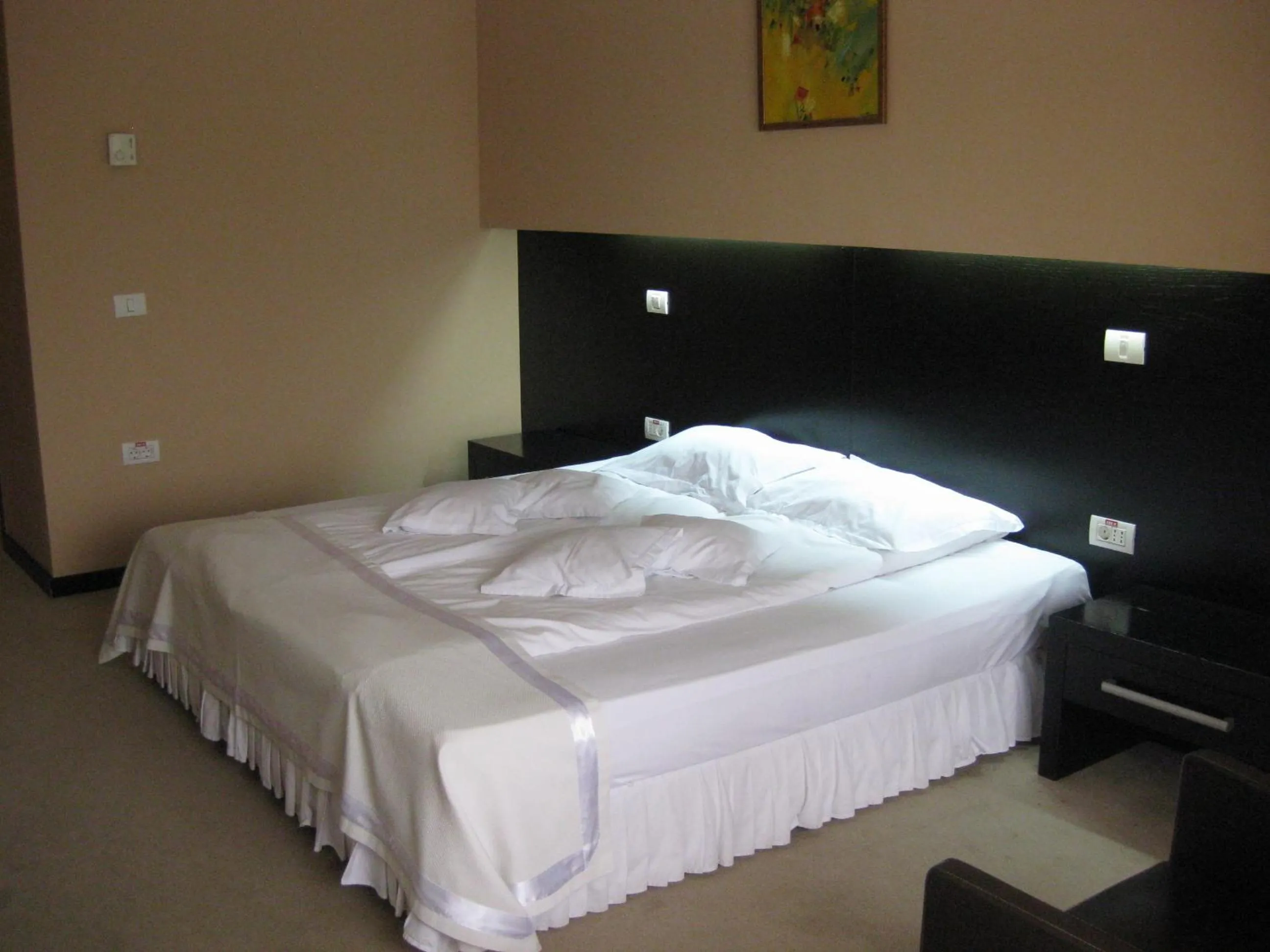 Bed in Hotel Delpack