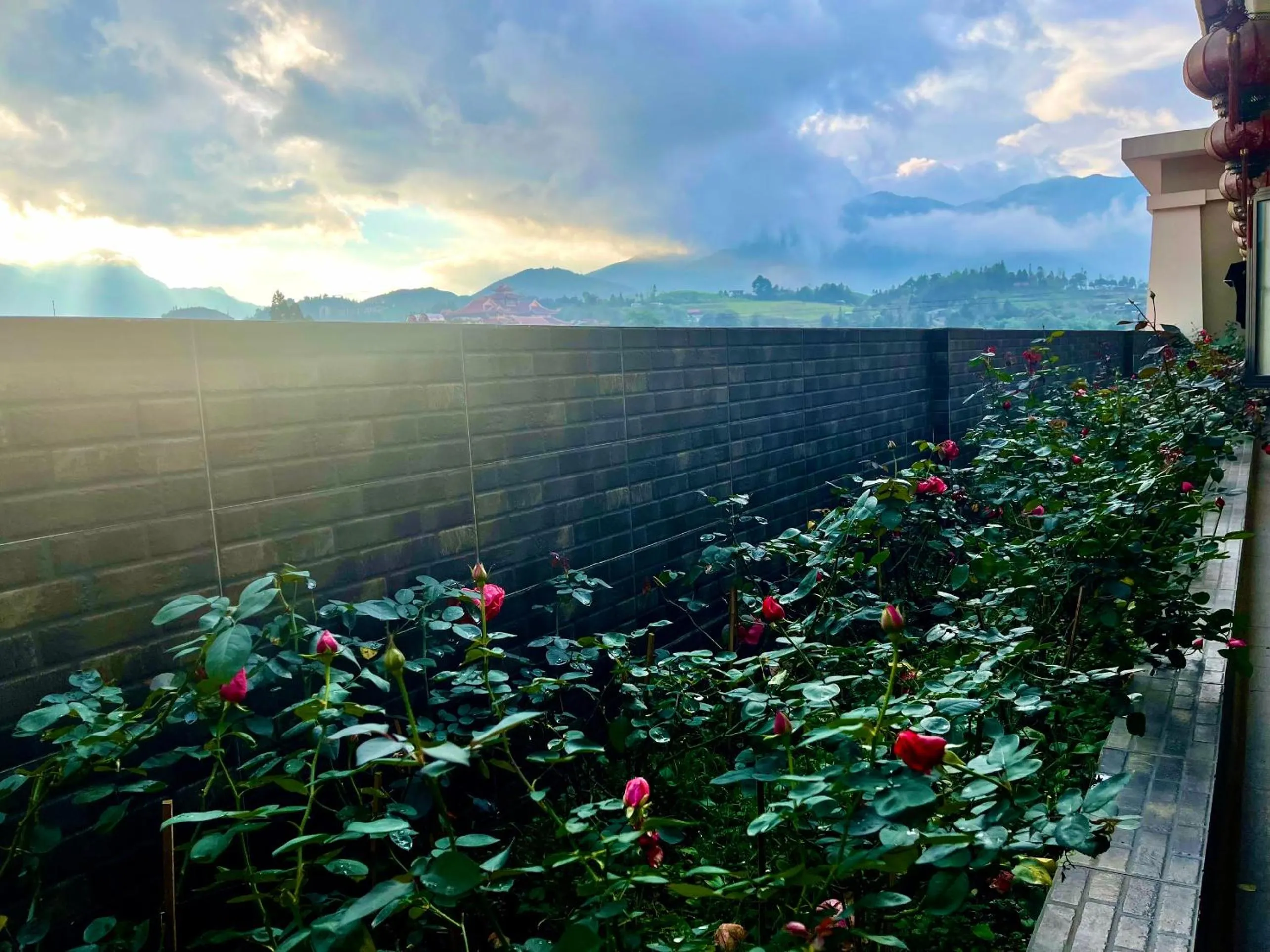 Garden in Lotus Aroma Sapa Hotel