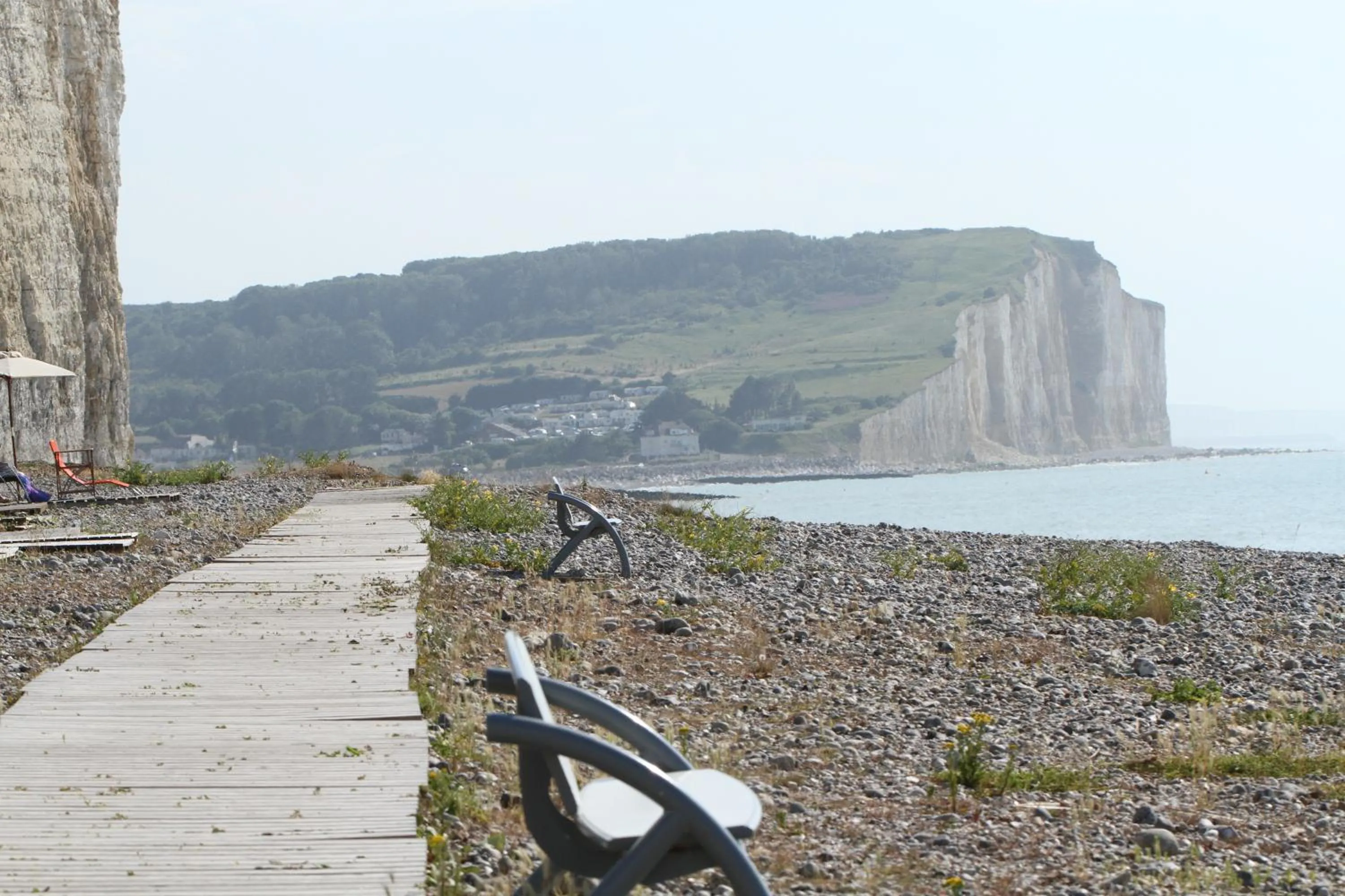 Natural landscape in Hotel Royal Albion
