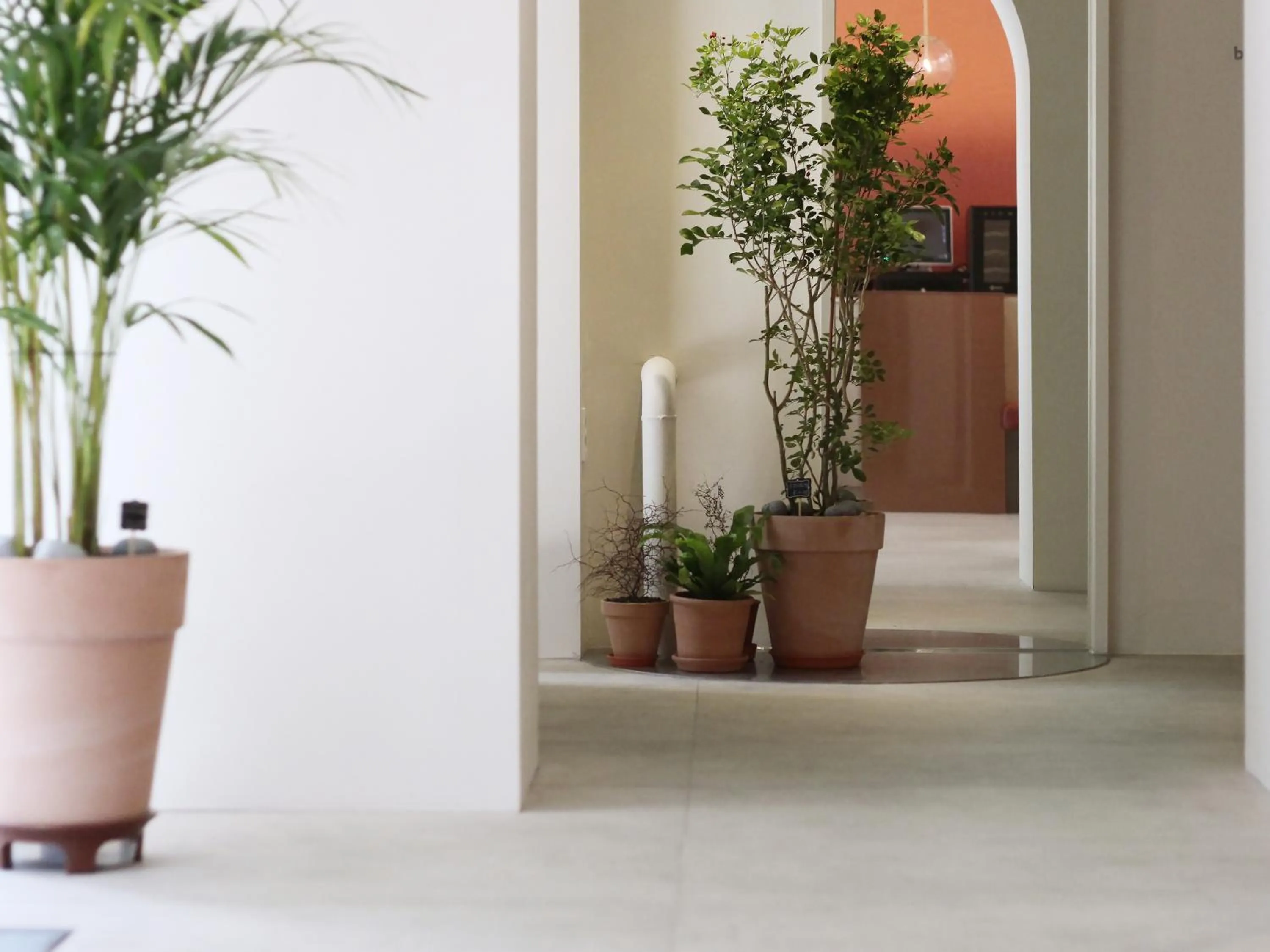 Tong Tong Petit Hotel