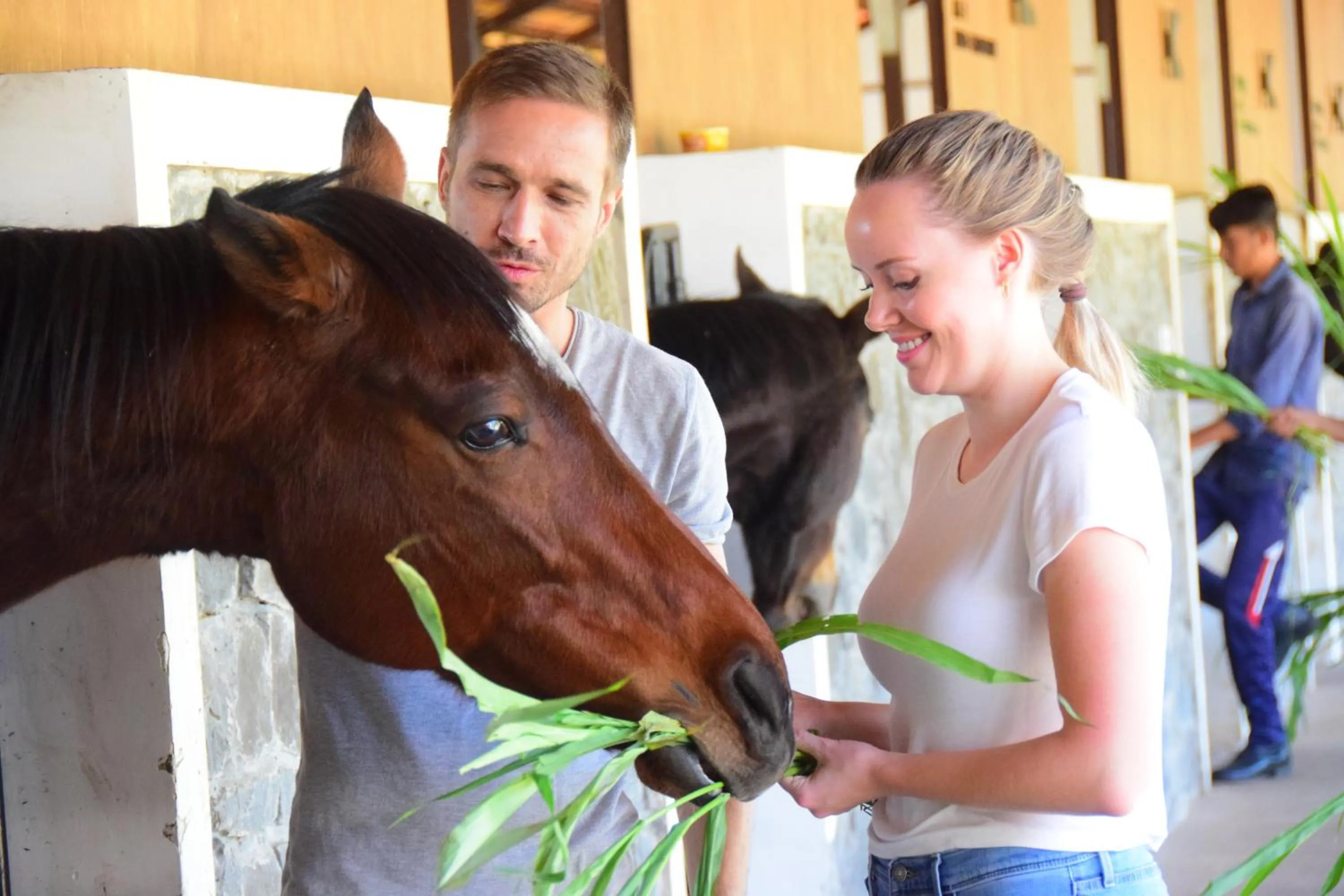 Horse-riding in Fazlani Natures Nest - The Wellness Retreat
