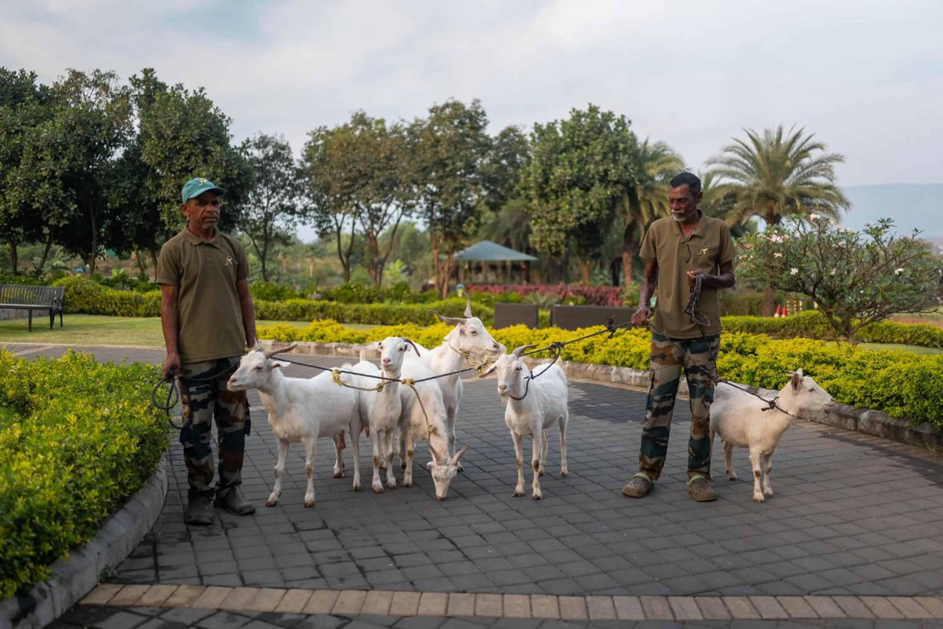 Fazlani Natures Nest - The Wellness Retreat