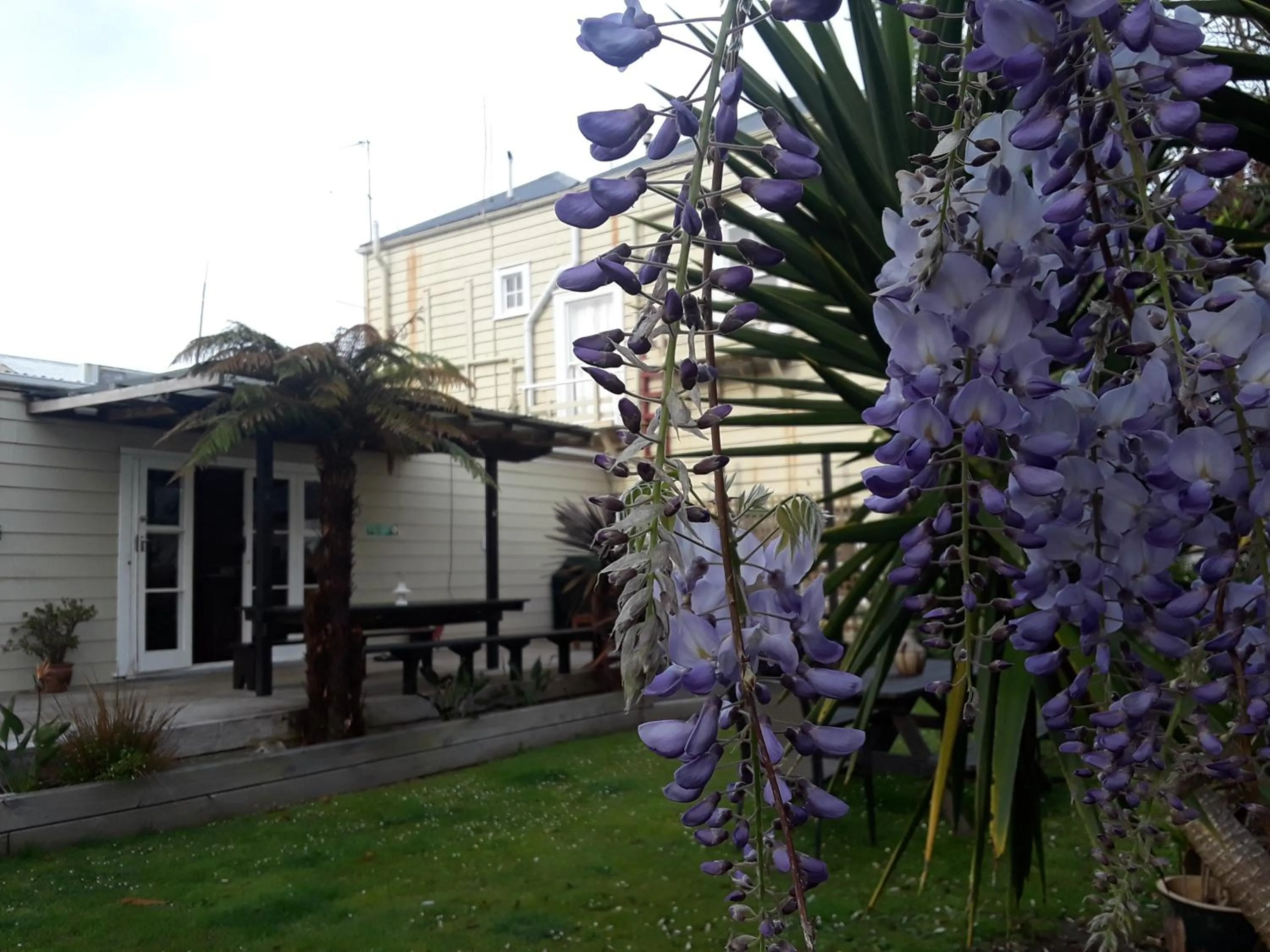 Garden in Lady Bowen Bed & Breakfast
